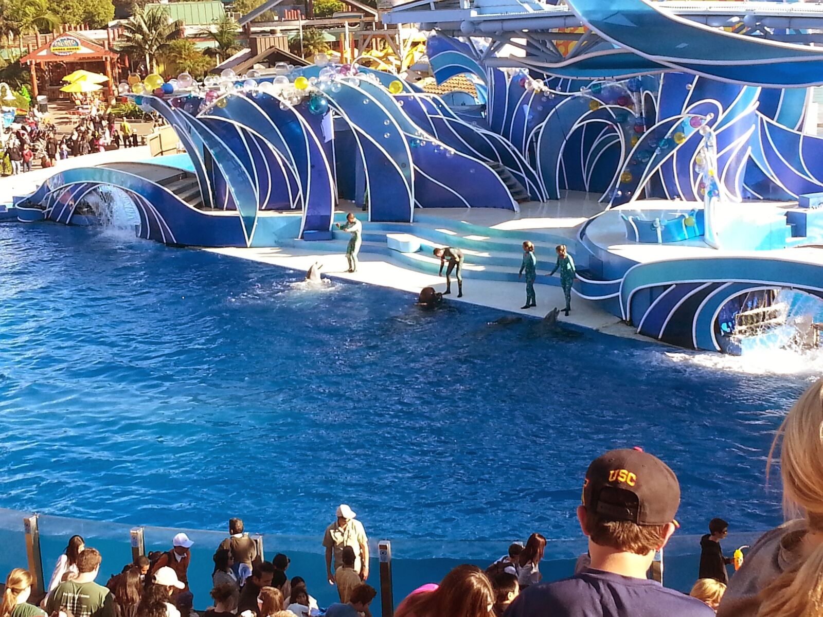 Samsung Galaxy Note2 sample photo. Sea world, acrobatics, marine photography
