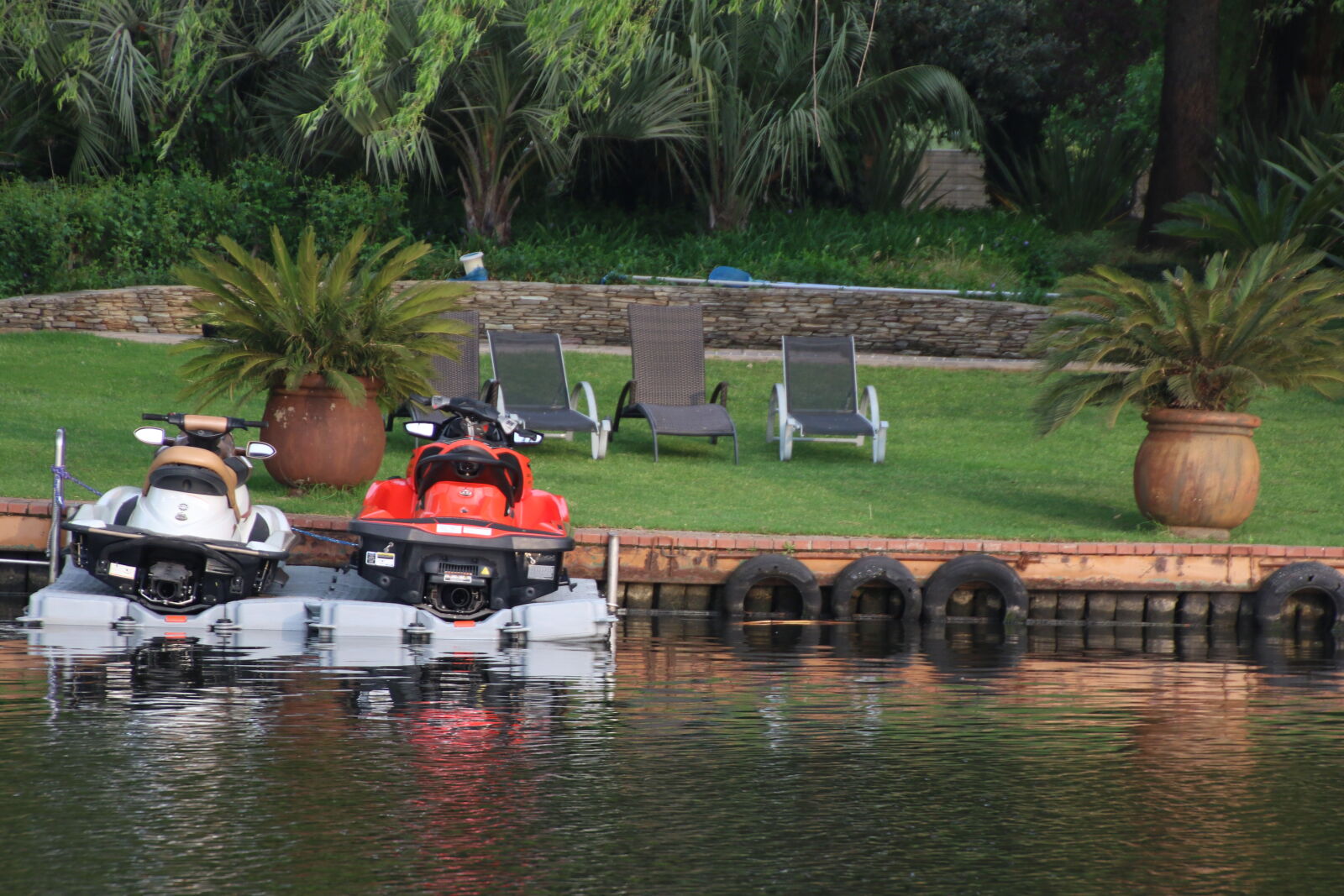 Canon EOS 7D Mark II sample photo. Cruise, fun, garden, grass photography