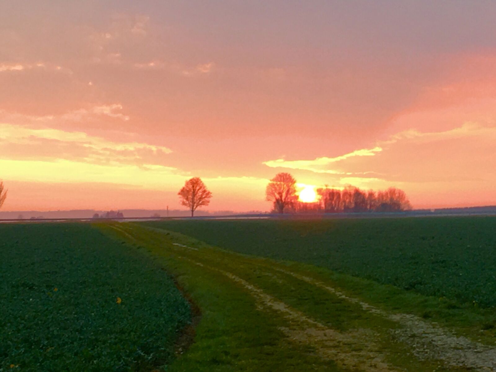 Apple iPhone 6s sample photo. Sunrise, nature, landscape photography