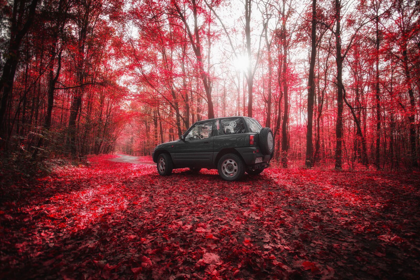 Canon EOS 6D + Canon EF 17-40mm F4L USM sample photo. Scenery, the vehicle, tour photography