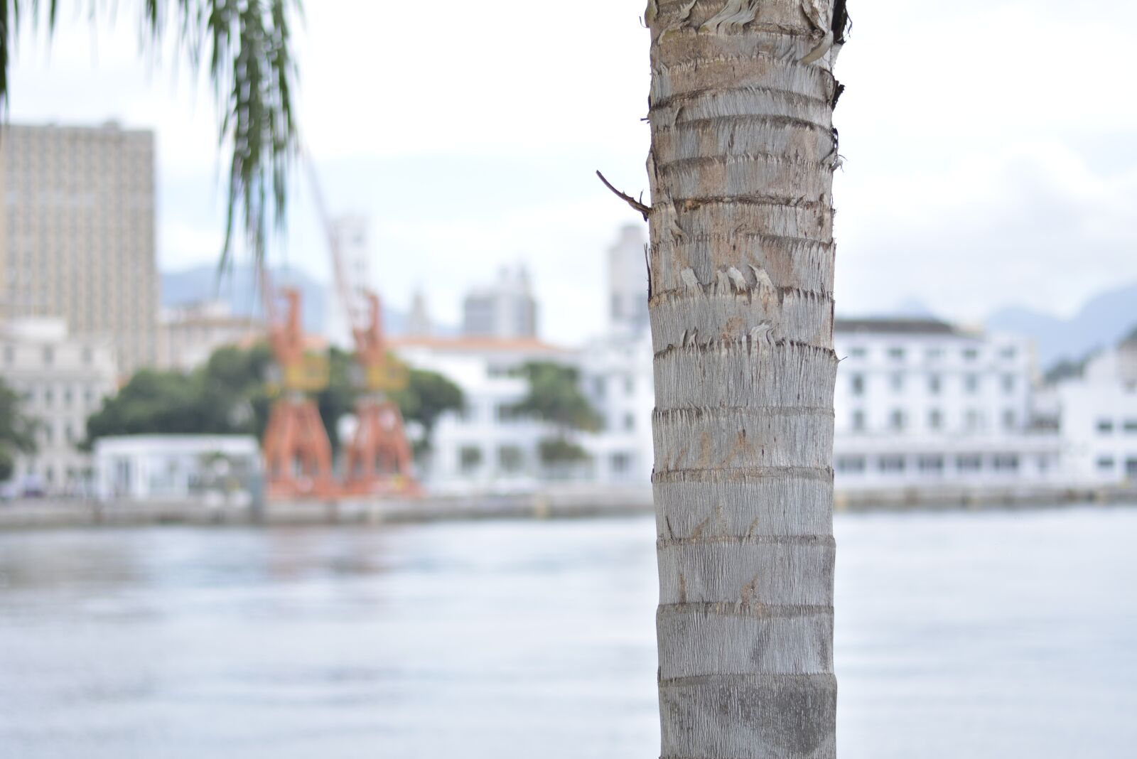 Nikon D7100 sample photo. Porto, wonder, museum photography