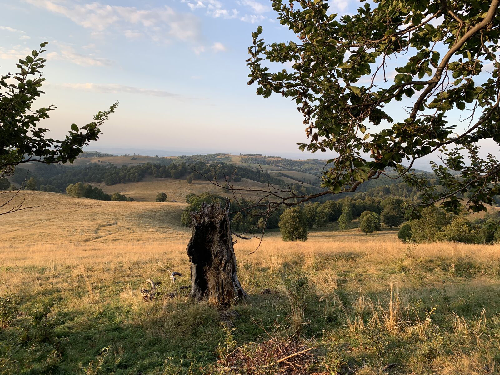 Apple iPhone XS sample photo. Panorama, romania, carpathian mountains photography