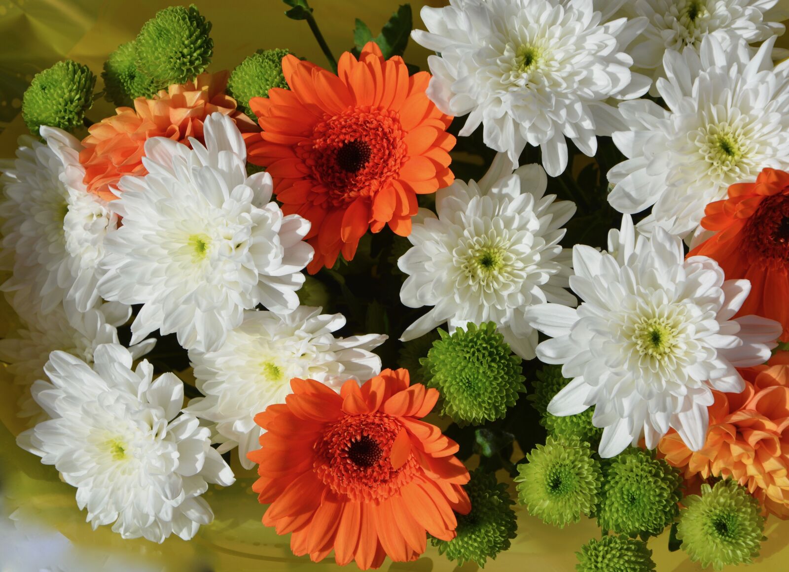 Nikon D5200 sample photo. Flowers, flower, white photography