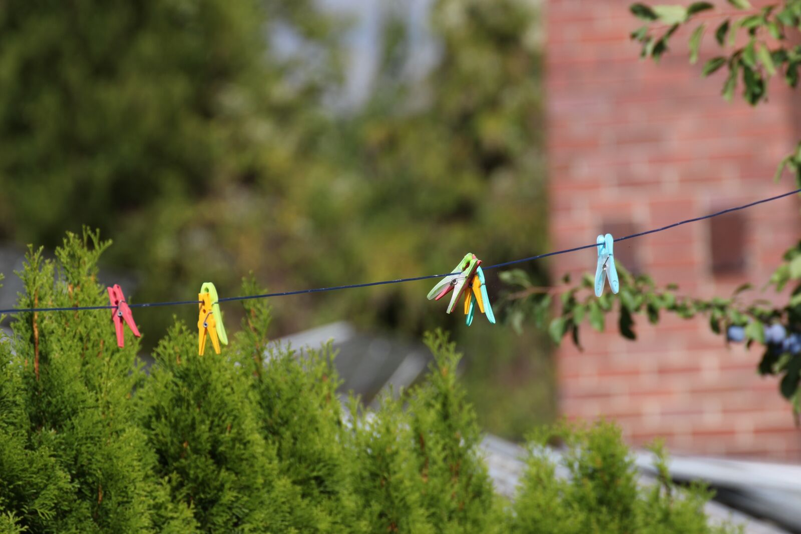 Canon EOS 100D (EOS Rebel SL1 / EOS Kiss X7) sample photo. Clothes line, clothespins, clothes photography