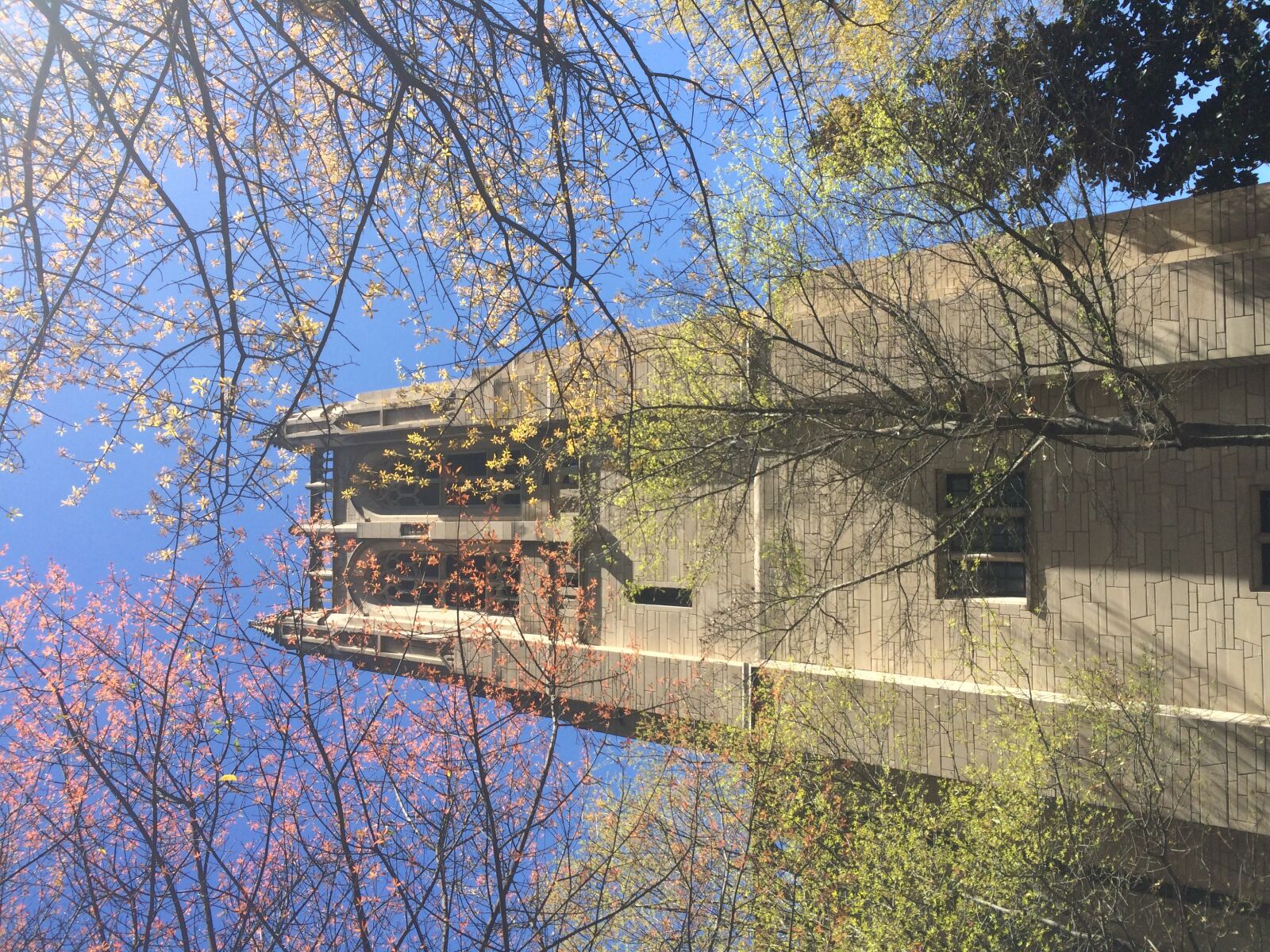 Apple iPhone 5s sample photo. Church, spring, trees photography