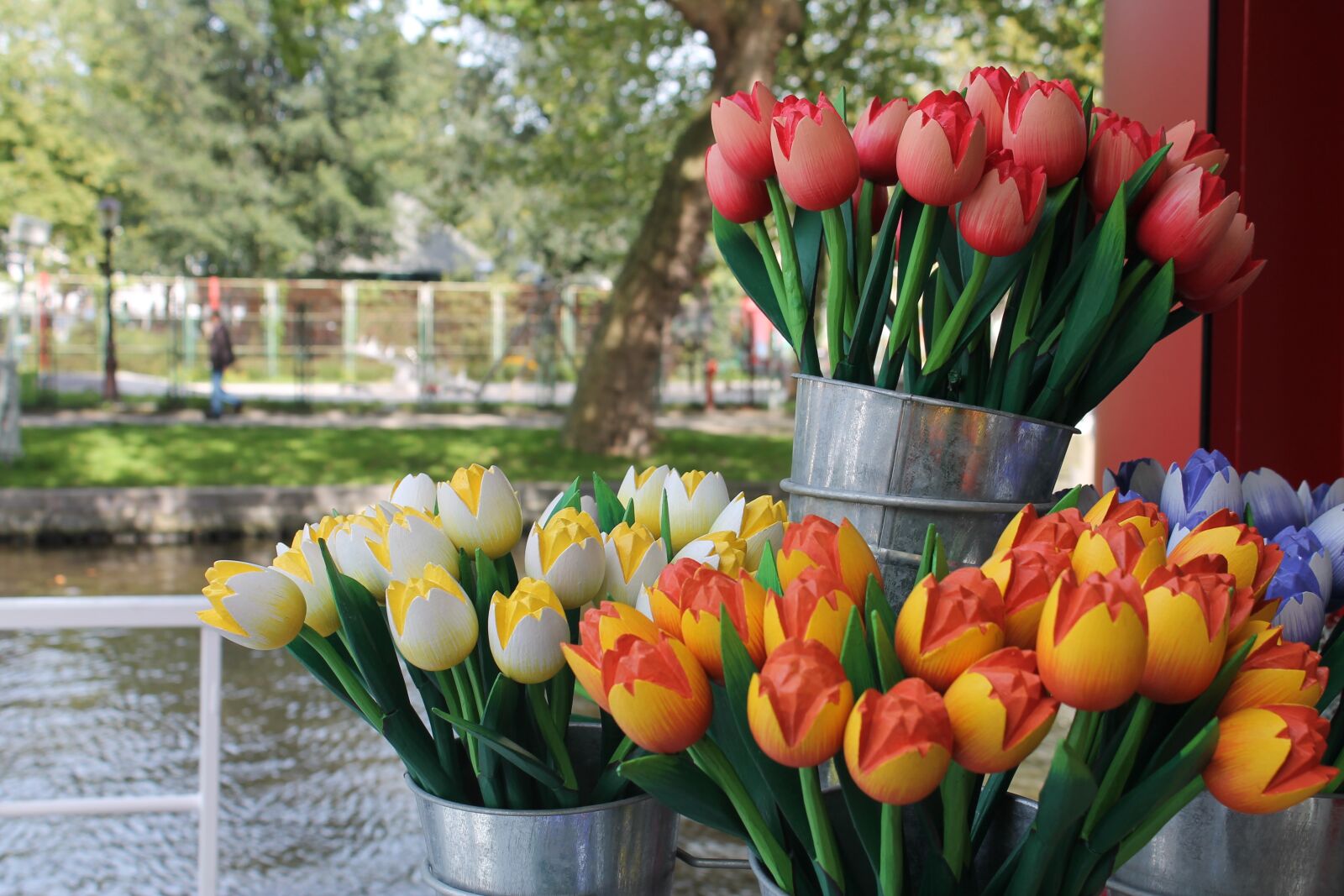 Canon EOS 1100D (EOS Rebel T3 / EOS Kiss X50) sample photo. Flowers, tulips, holland photography