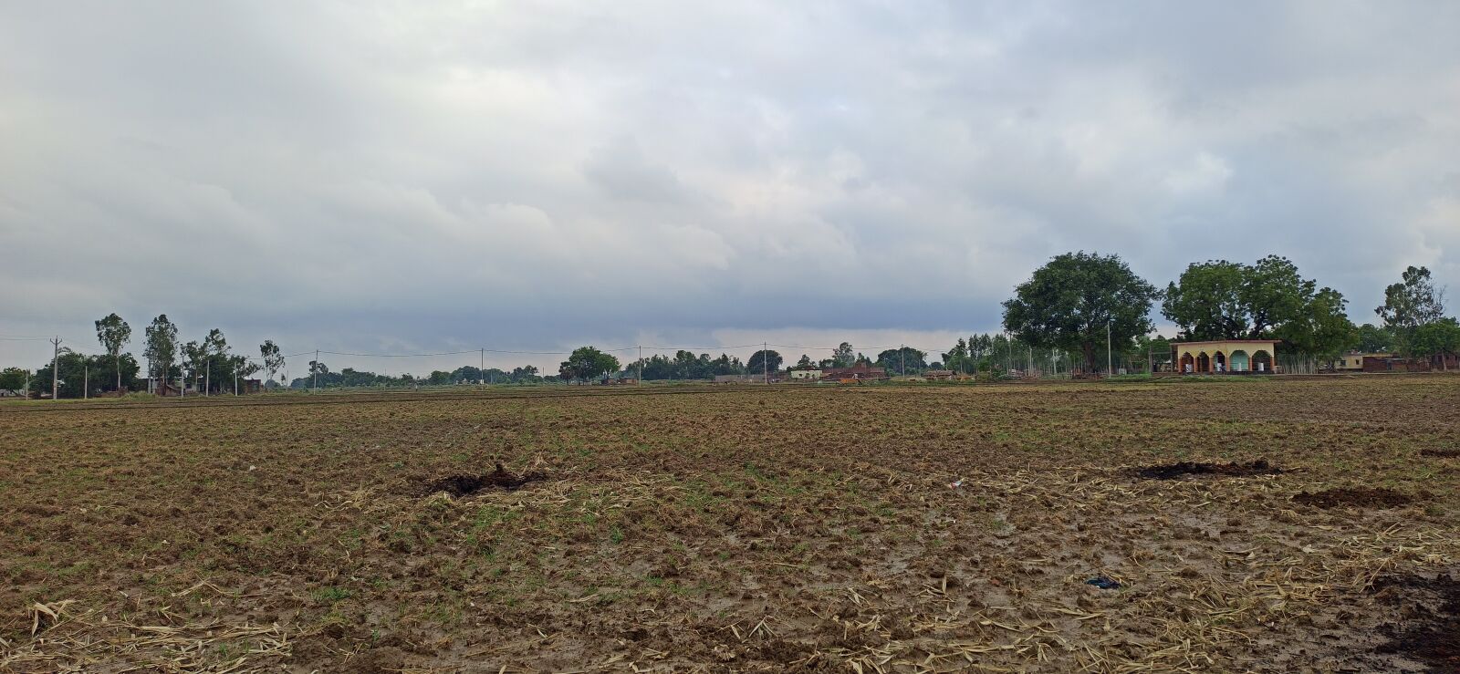 Xiaomi Redmi Note 8 Pro sample photo. Indian, farm, in village photography