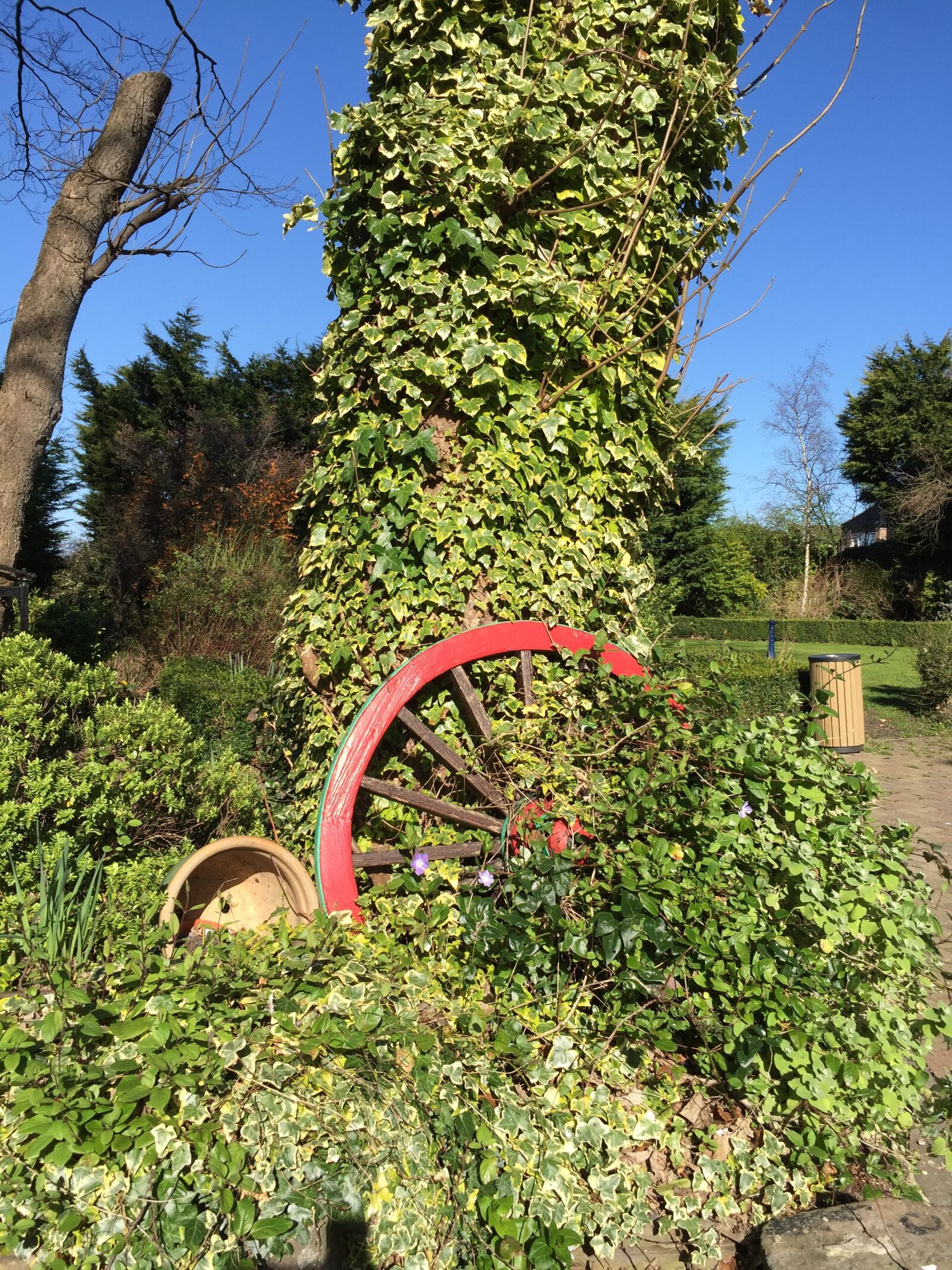 Apple iPhone 6 sample photo. Garden, nature, spring photography