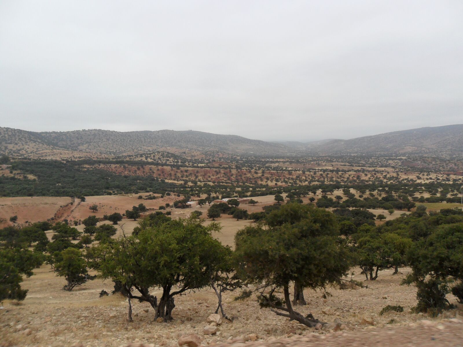 Samsung ES73 / VLUU ES73 /  SL605 sample photo. Arganeforest, essaouira, sebtneknafa photography