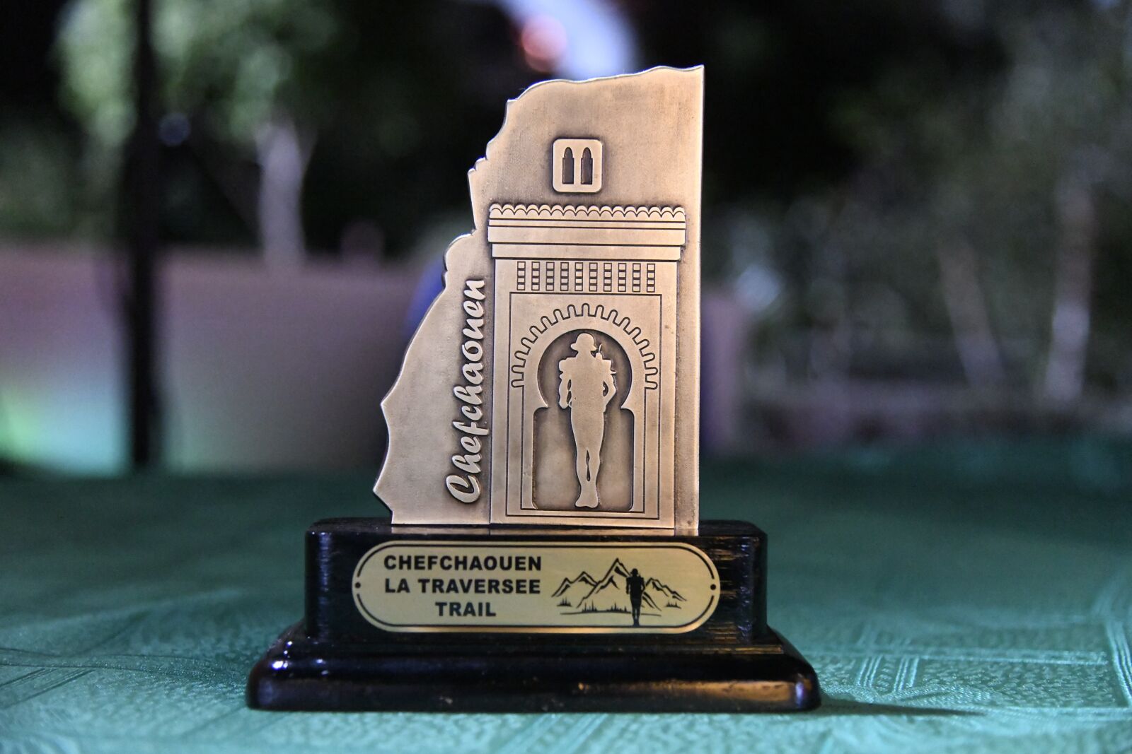 Nikon D850 sample photo. Price, winner, trophy photography