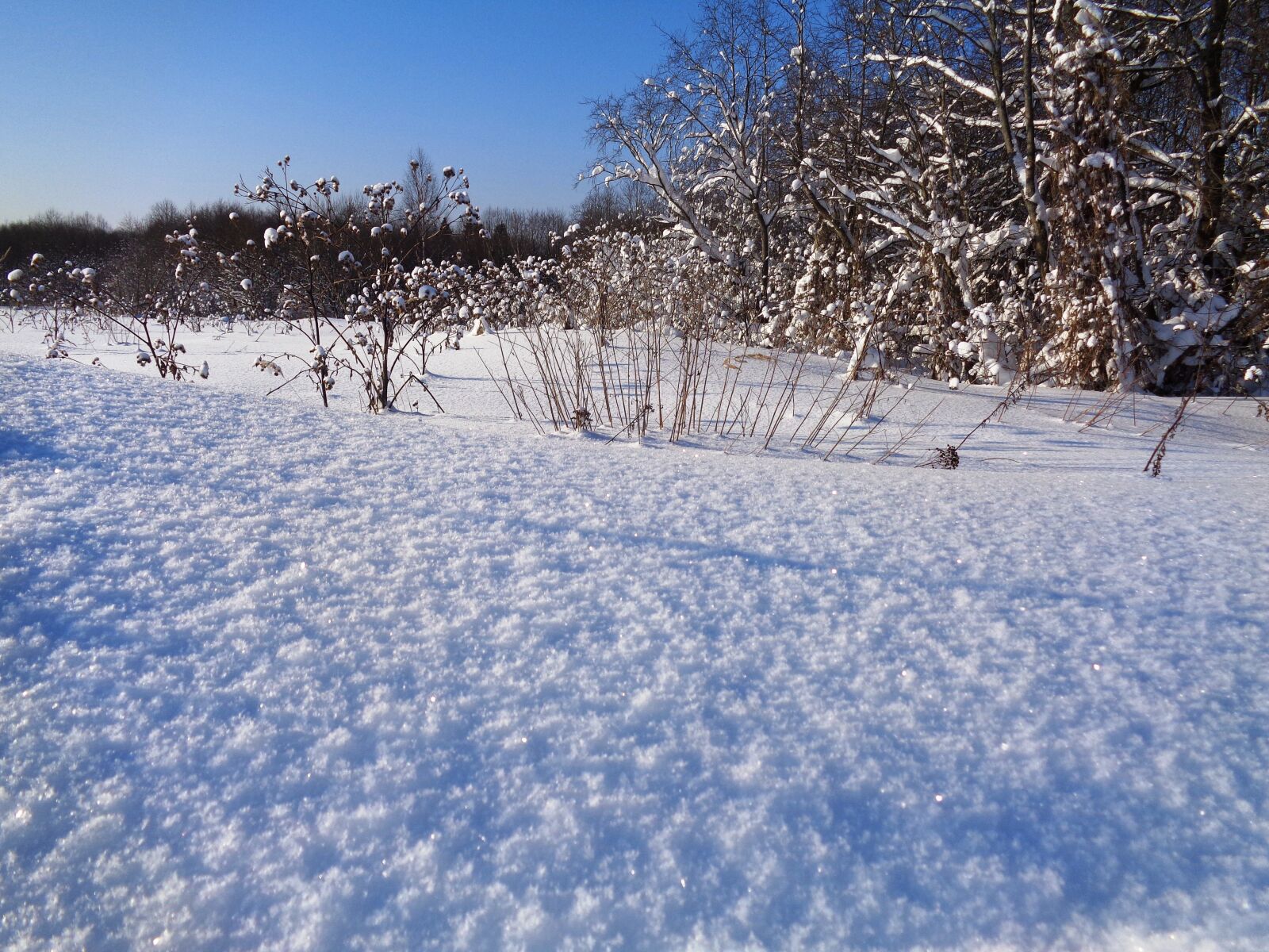 Sony Cyber-shot DSC-W830 sample photo. Winter, snow, leann photography