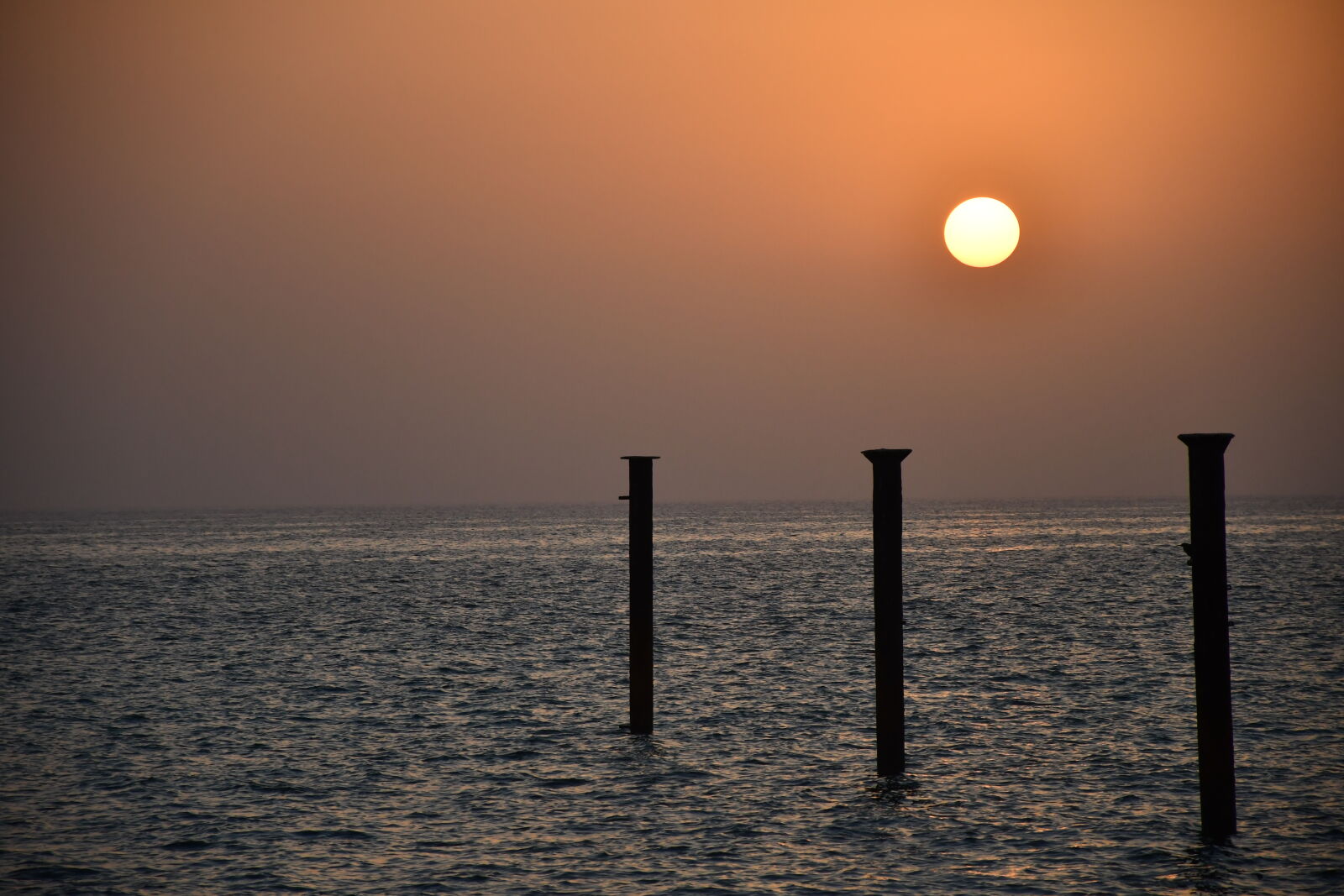 Nikon D7500 sample photo