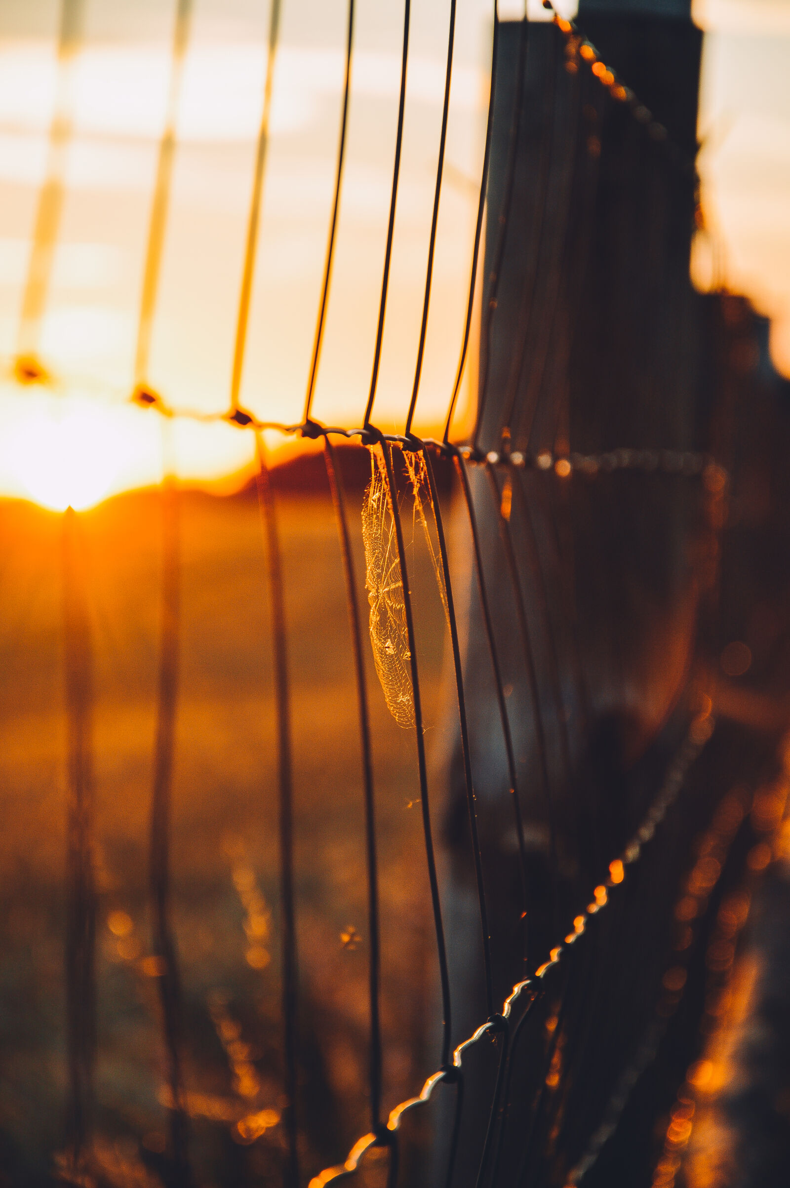 Nikon D3200 sample photo. Sunset, fence, countryside, rural photography