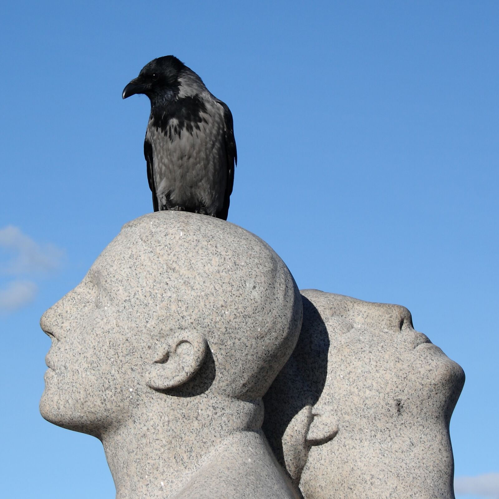 Canon EOS 400D (EOS Digital Rebel XTi / EOS Kiss Digital X) sample photo. Norway, oslo, vigeland park photography