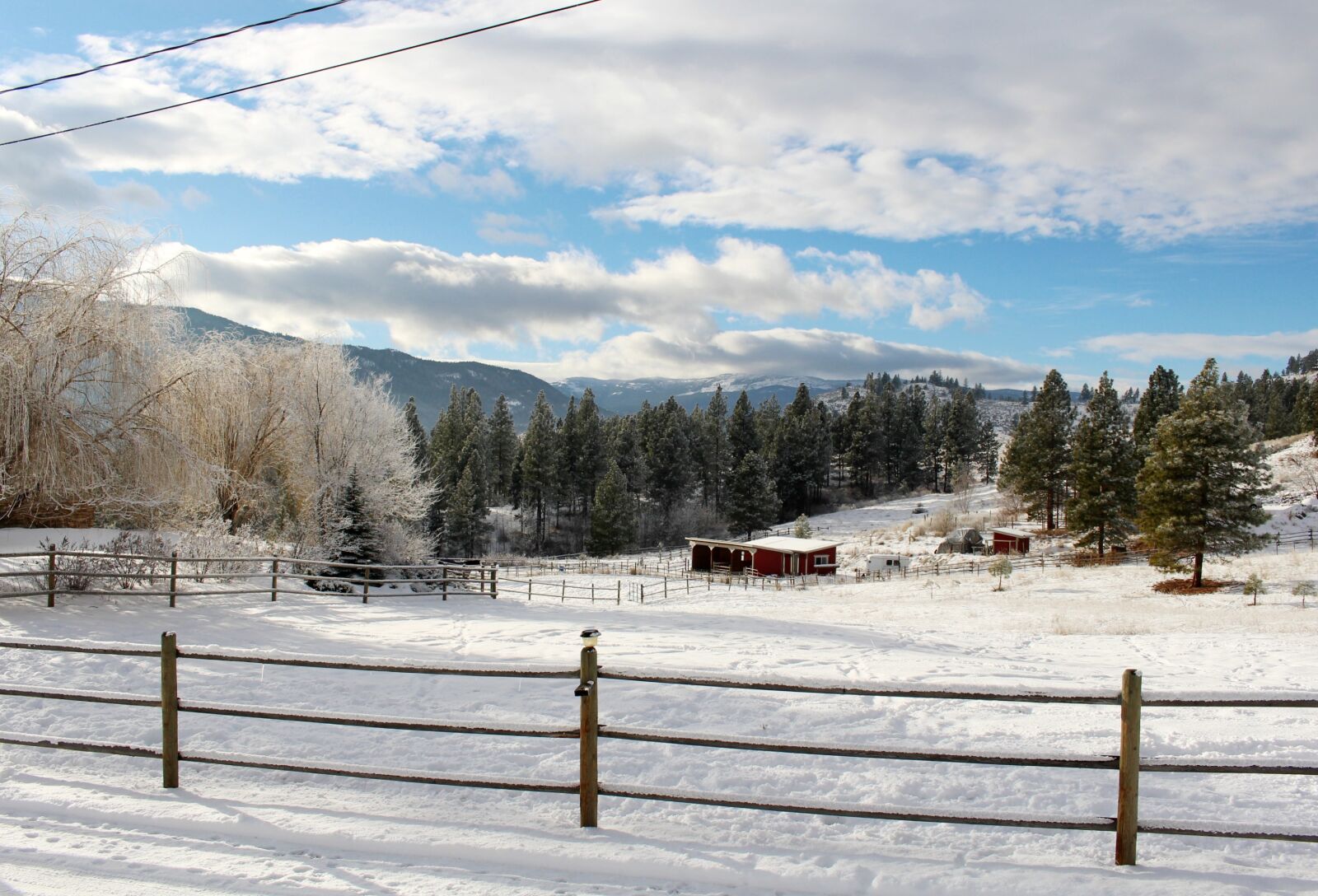 Canon EOS 100D (EOS Rebel SL1 / EOS Kiss X7) sample photo. Winter, winter wonderland, snow photography