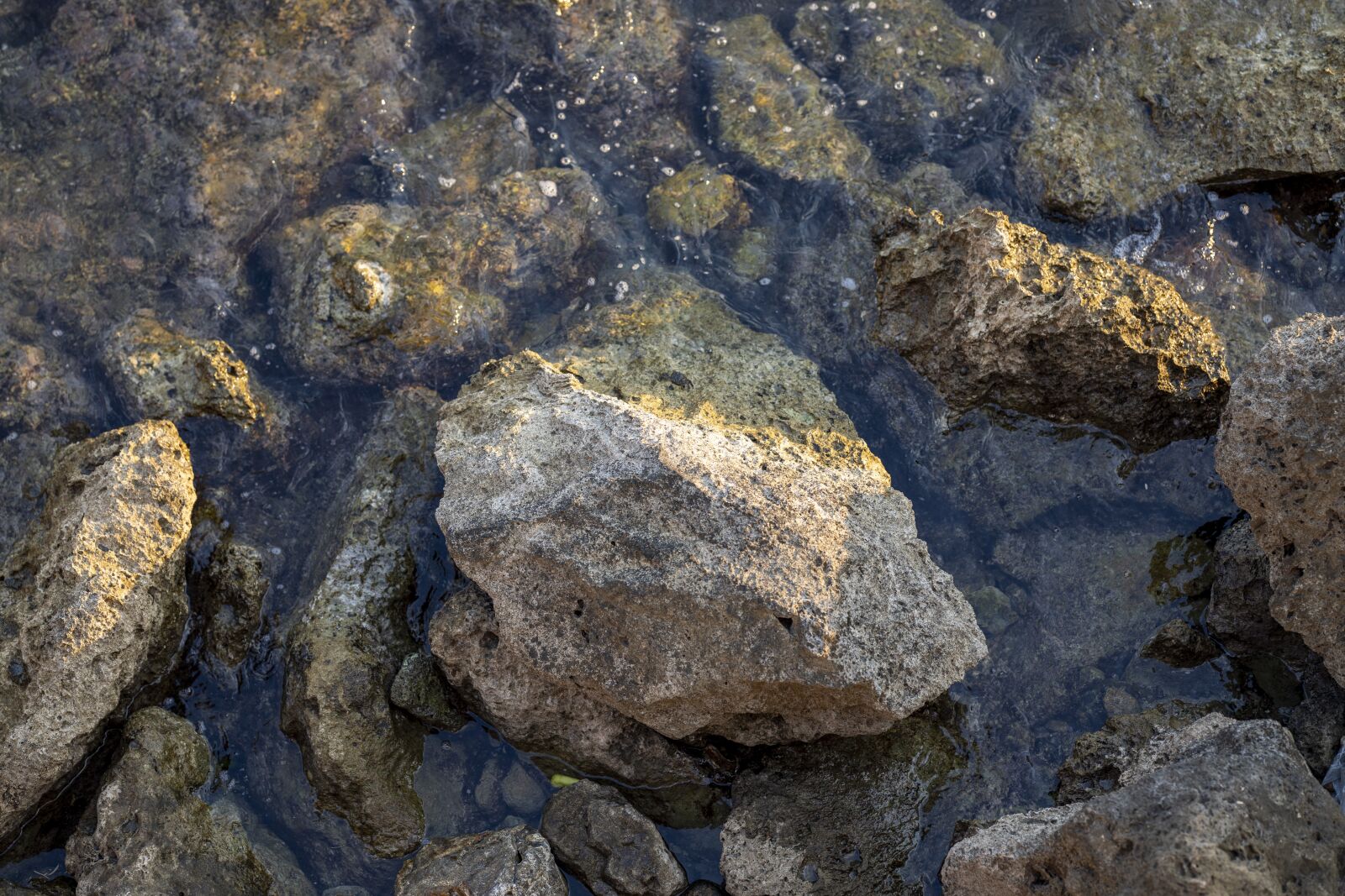 Canon EOS R + Canon RF 85mm F1.2L USM sample photo. Kennedy, dd, water photography