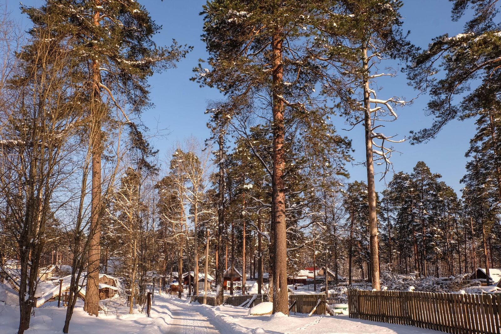 Fujifilm X-A2 + Fujifilm XC 16-50mm F3.5-5.6 OIS II sample photo. Winter, michurinskiy, beauty photography