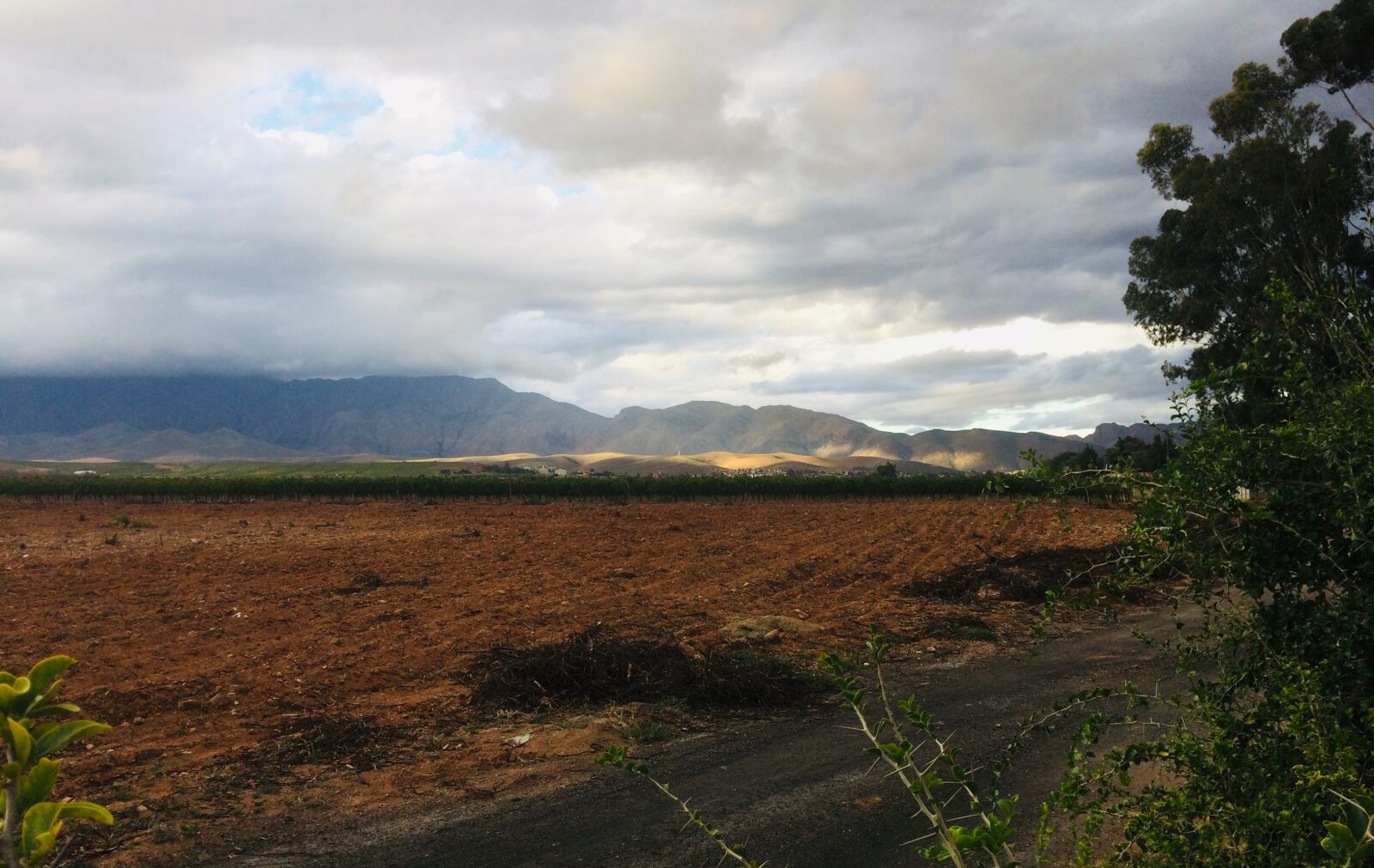 iPhone 5s back camera 4.15mm f/2.2 sample photo. South africa, robertson, landscape photography
