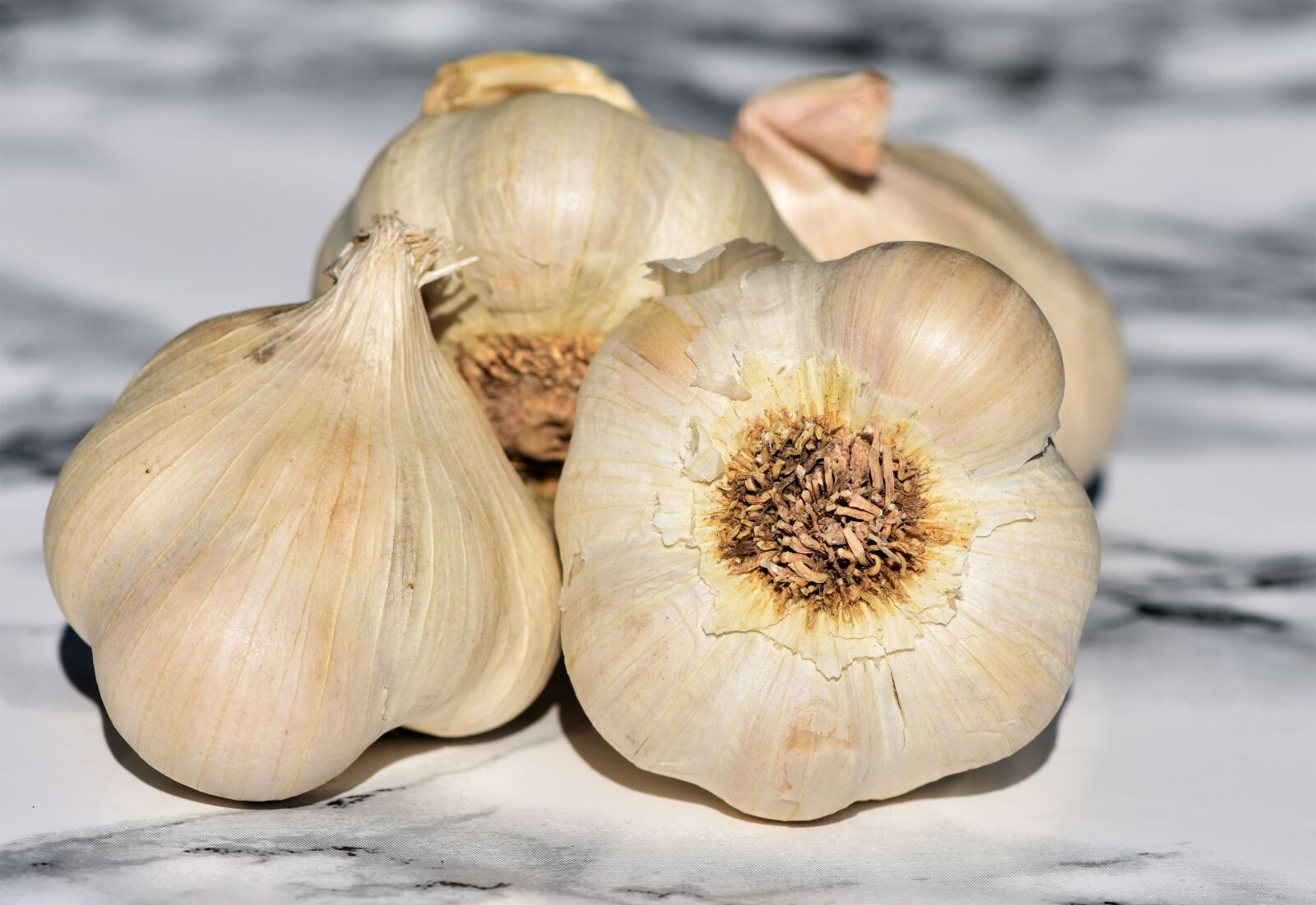 Nikon D7200 sample photo. Garlic, vegetables, spice photography