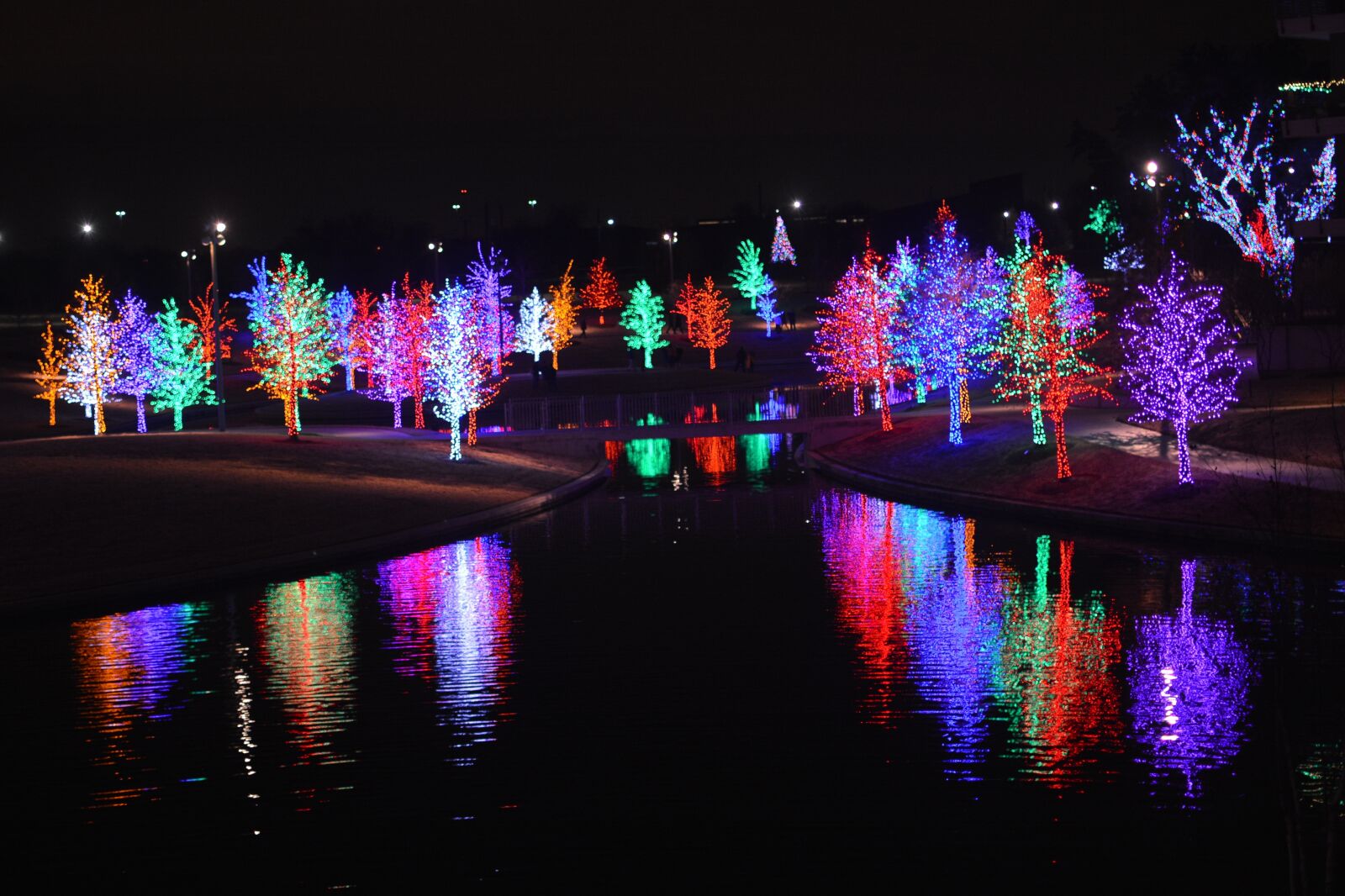 Nikon D7100 sample photo. Light, tree, christmas photography