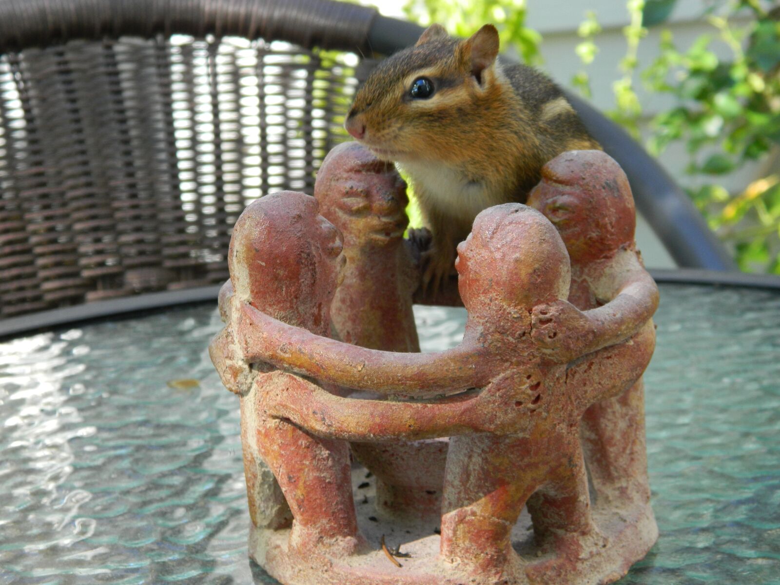 Nikon COOLPIX L310 sample photo. Chipmunk, friends, posing photography