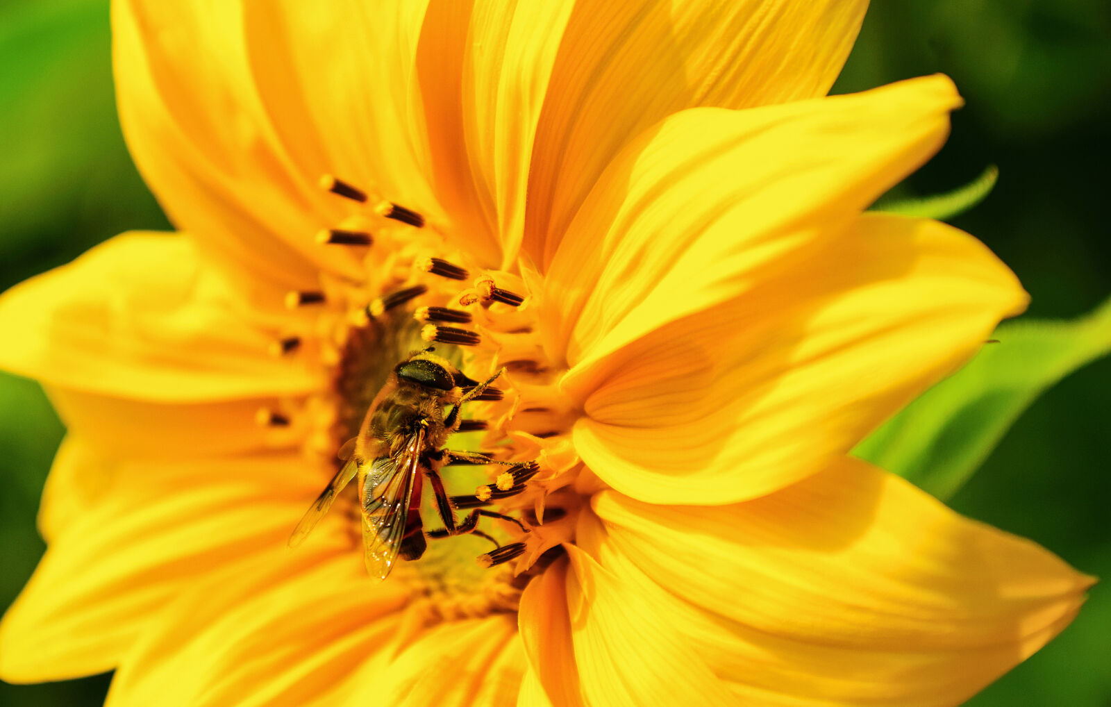 Nikon D5300 sample photo