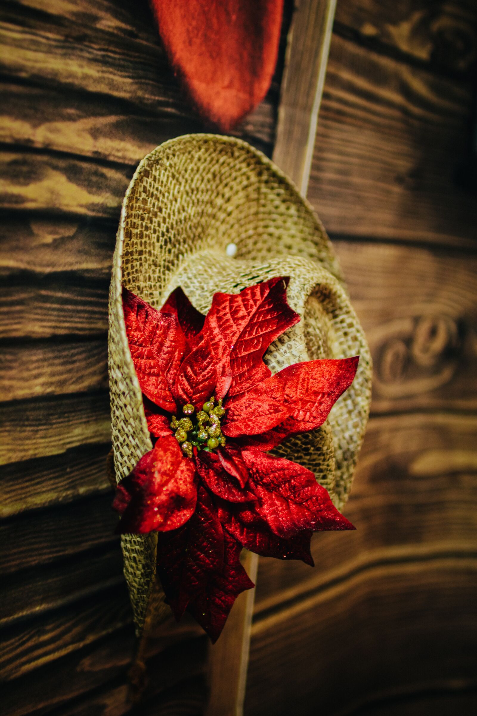 Canon EOS 750D (EOS Rebel T6i / EOS Kiss X8i) sample photo. Christmas hat, hat, decoration photography