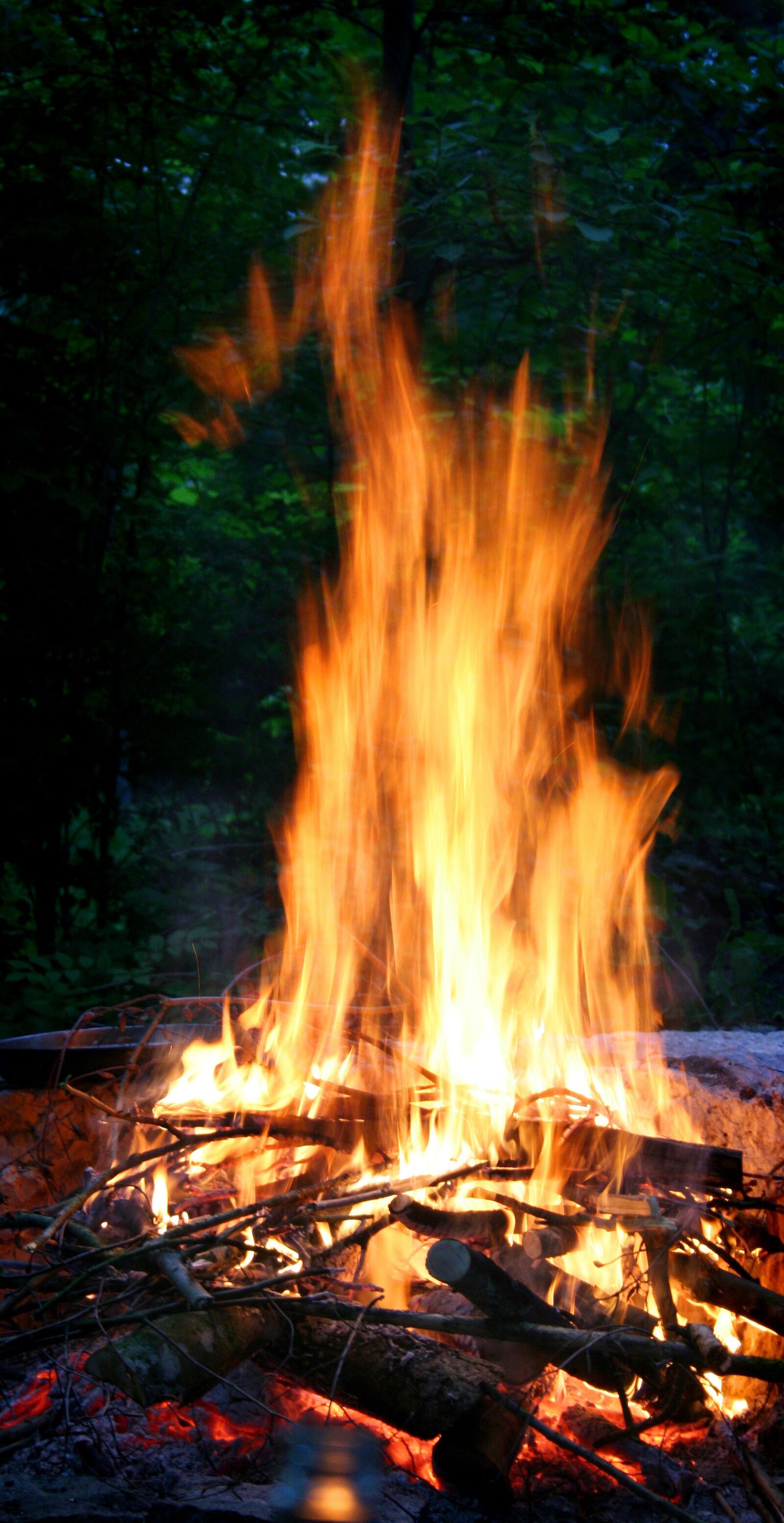 Canon EOS 350D (EOS Digital Rebel XT / EOS Kiss Digital N) sample photo. Fire, grill fire, flame photography