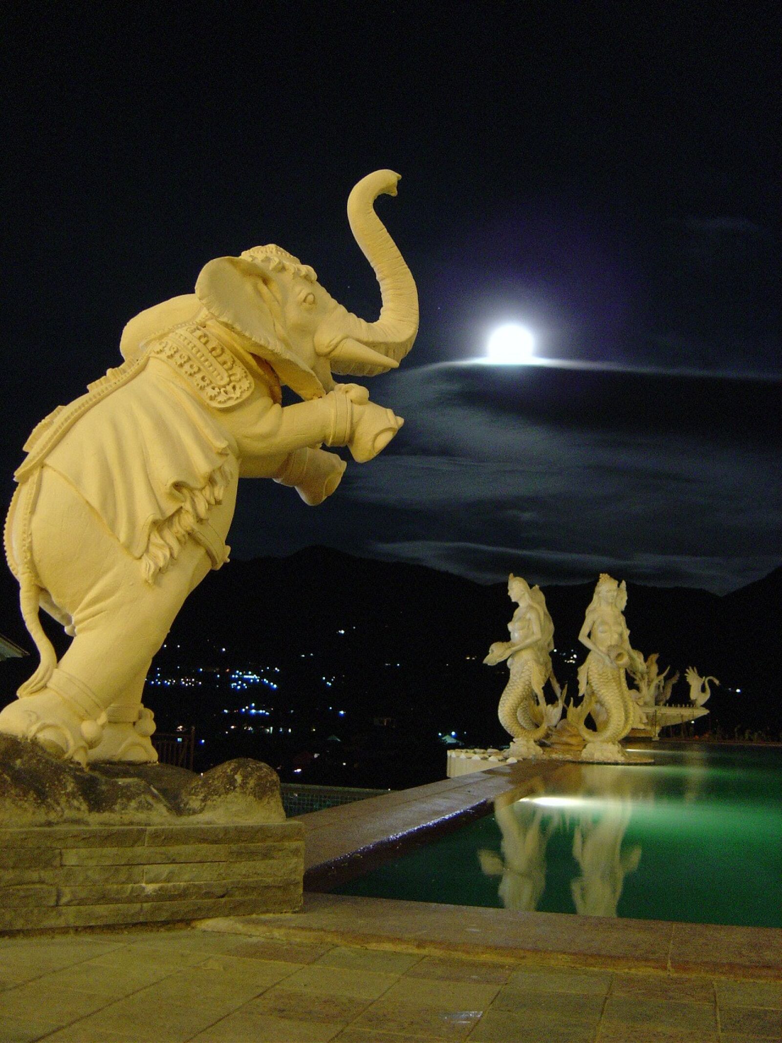 Sony DSC-P10 sample photo. Night, moon, elephant photography