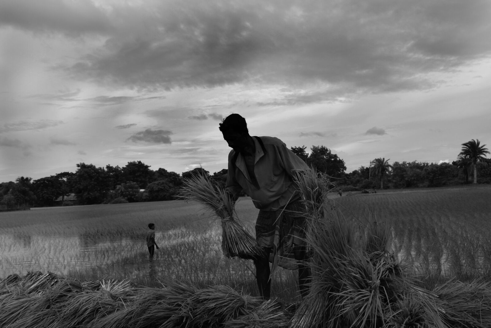 Canon EOS 500D (EOS Rebel T1i / EOS Kiss X3) sample photo. Bangladesh, canal, farmer, fisherman photography