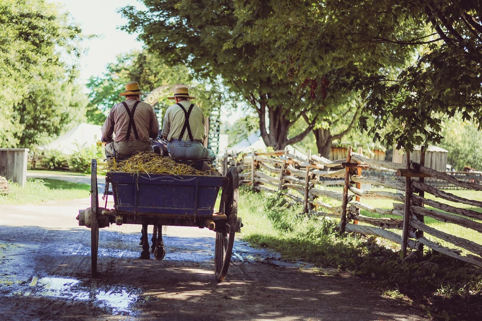 Nikon D700 sample photo. Countryside, dirt road, fence photography