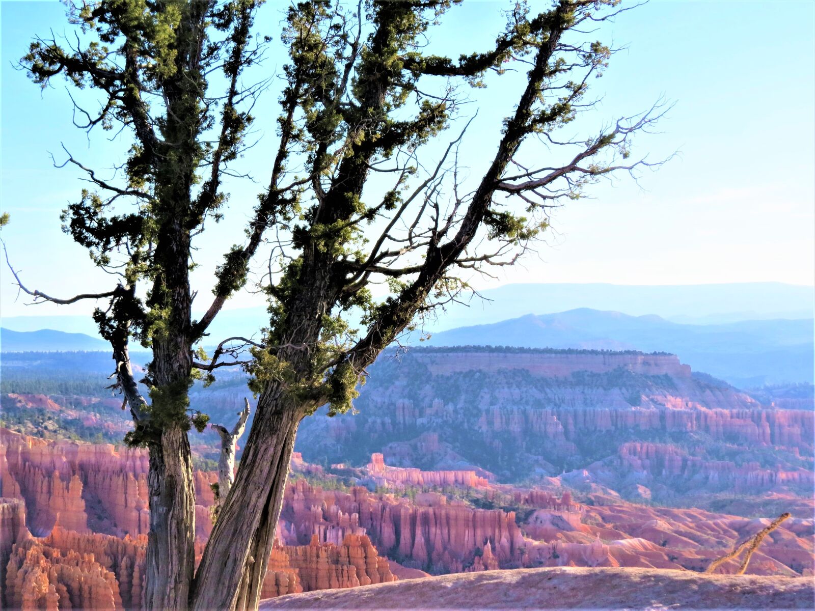 Canon PowerShot SX50 HS sample photo. Bryce canyon, utah, hiking photography