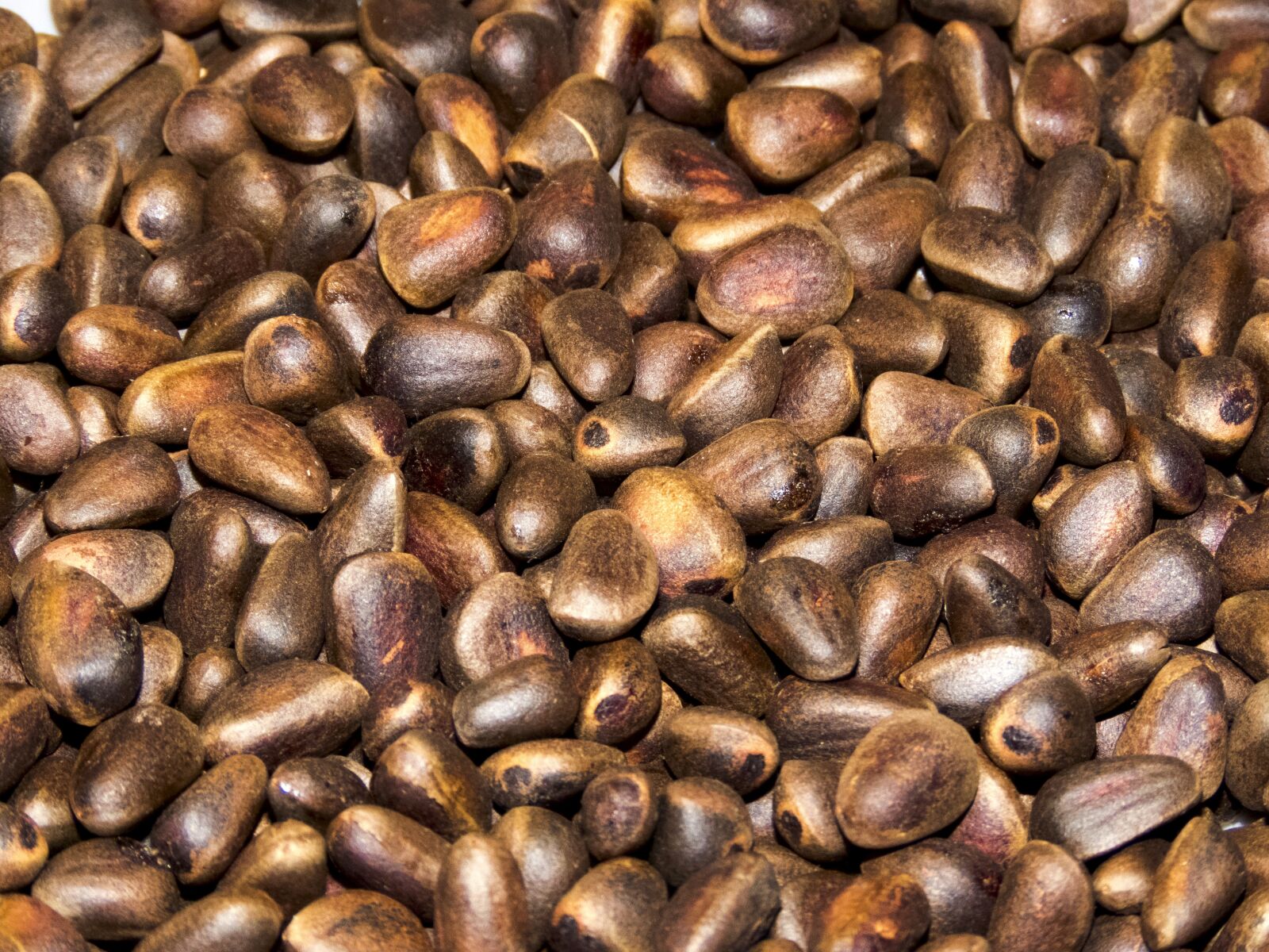 Canon PowerShot SX60 HS sample photo. Pine nuts, hot, nutrition photography
