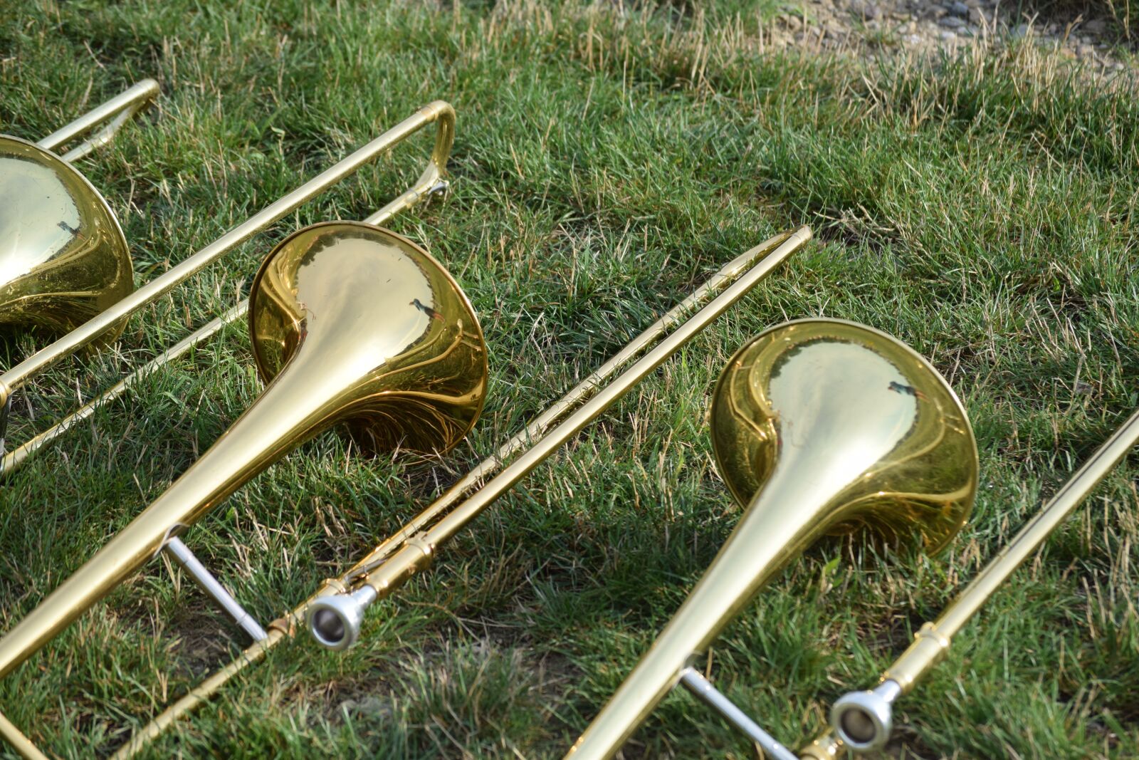 Nikon D3300 sample photo. Music, musical instruments, horns photography