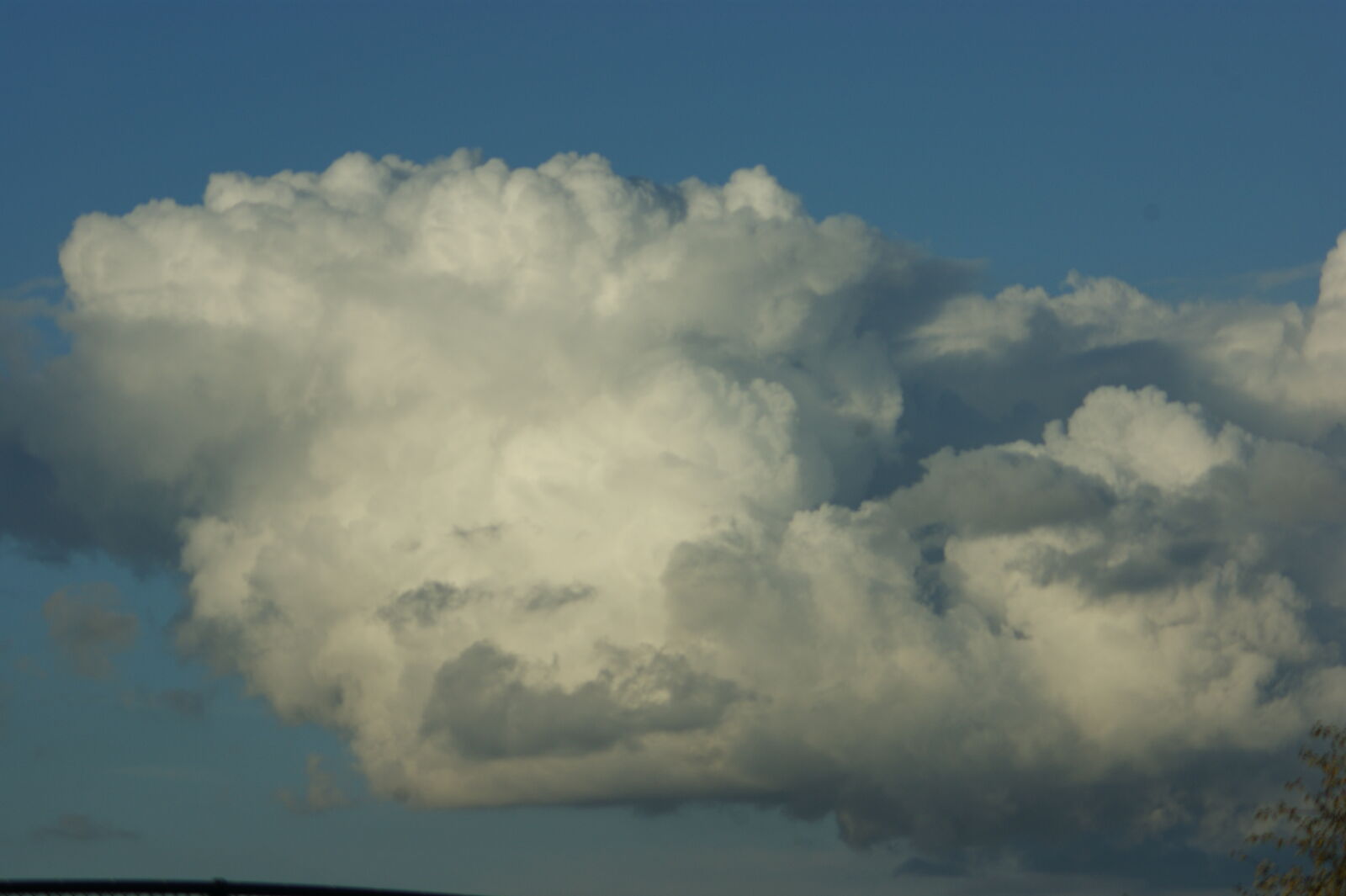 Sony Alpha DSLR-A390 sample photo