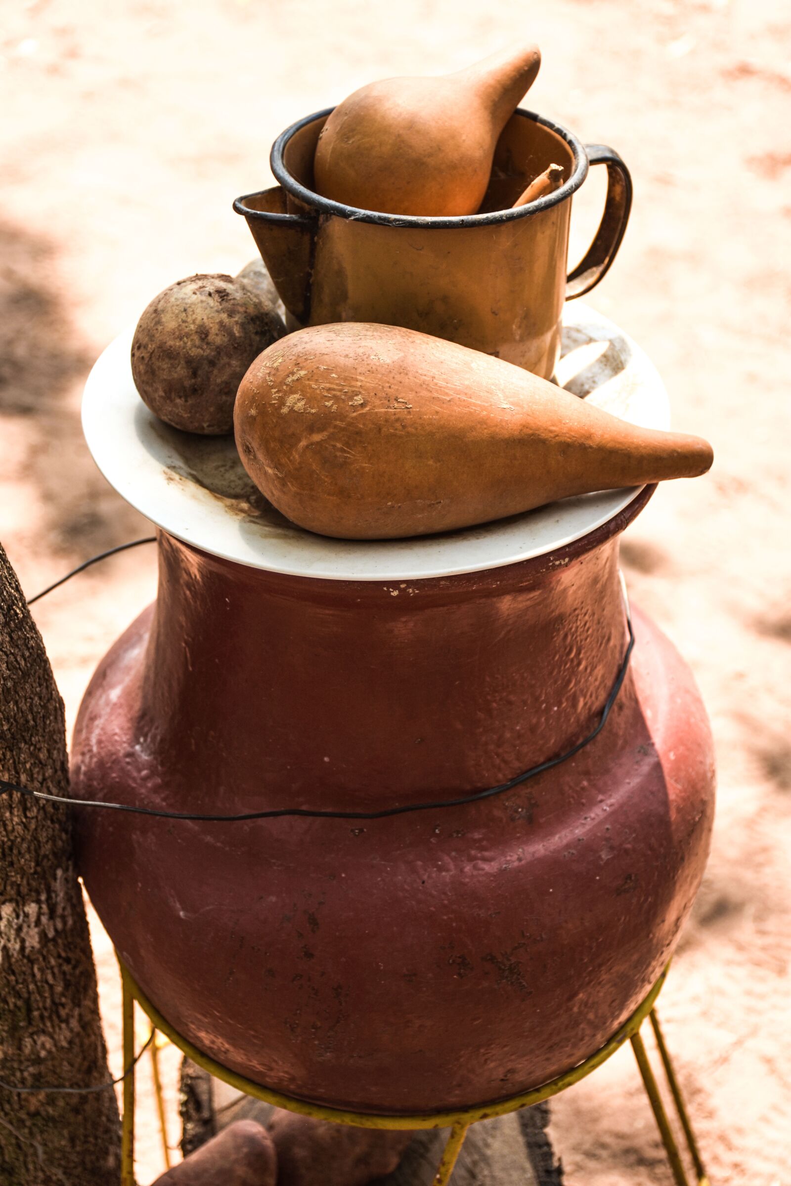 Nikon D7200 sample photo. Pitcher, porongo, fruit photography