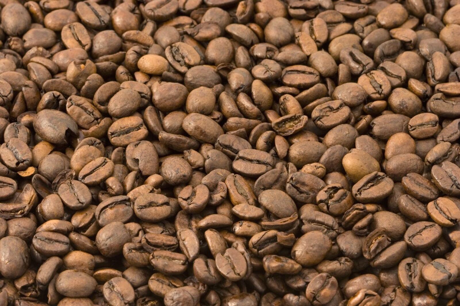 Canon EOS 350D (EOS Digital Rebel XT / EOS Kiss Digital N) sample photo. Coffee, coffeehouse, background photography