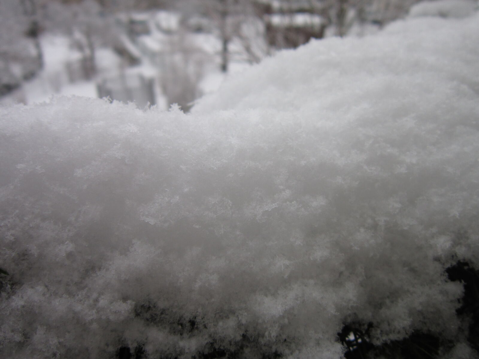 Canon PowerShot A3300 IS sample photo. Close, up, snow, snowflakes photography