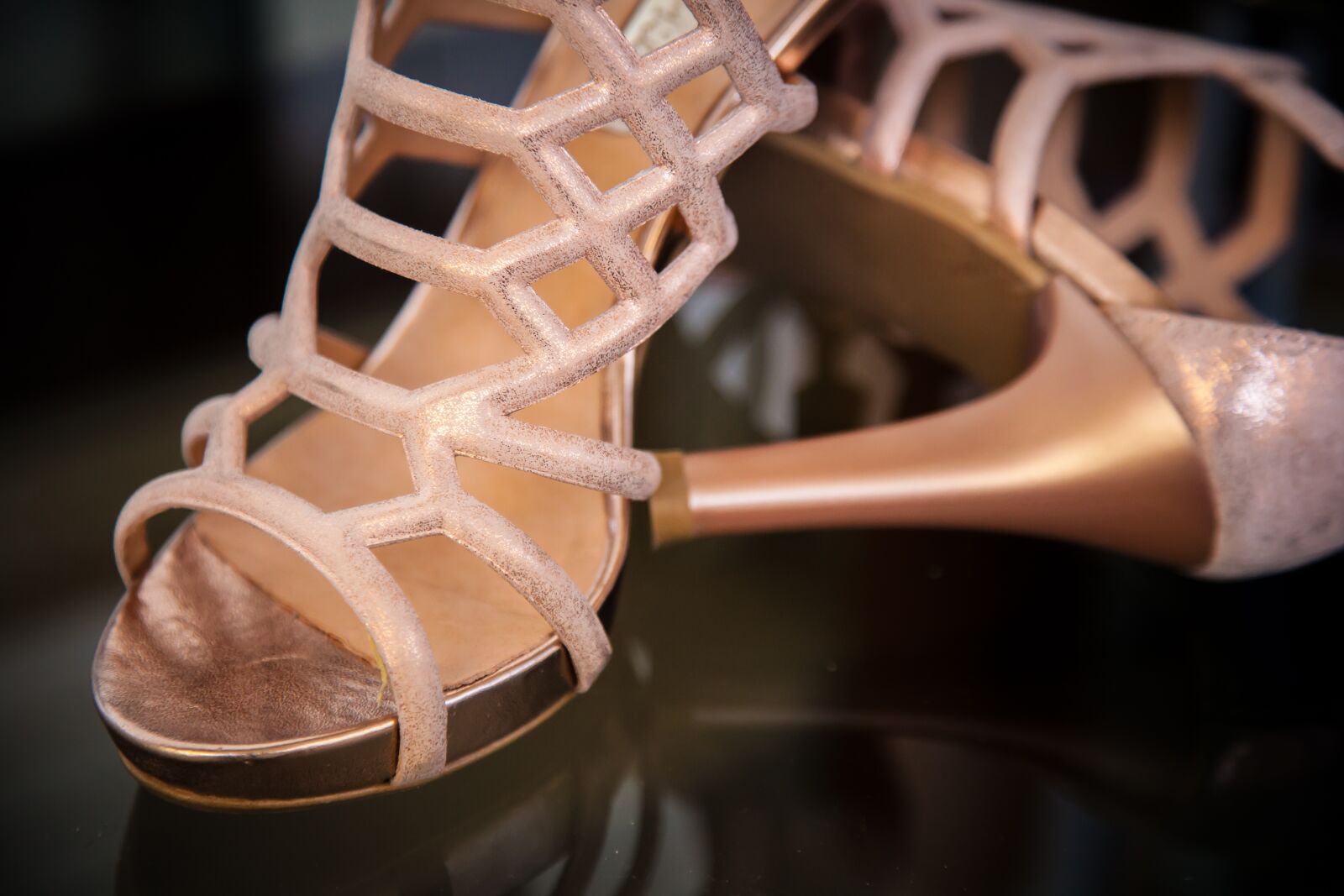 Canon EOS 5D Mark II sample photo. Style, fine, heel photography