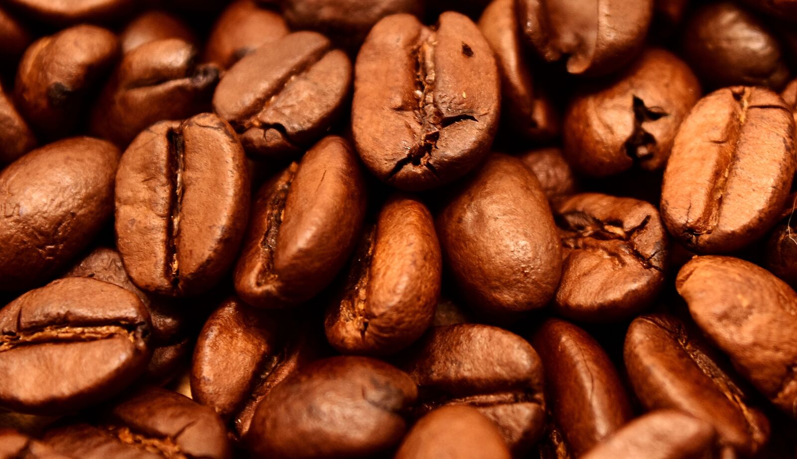Nikon D7200 sample photo. Coffee, coffee beans, cafe photography