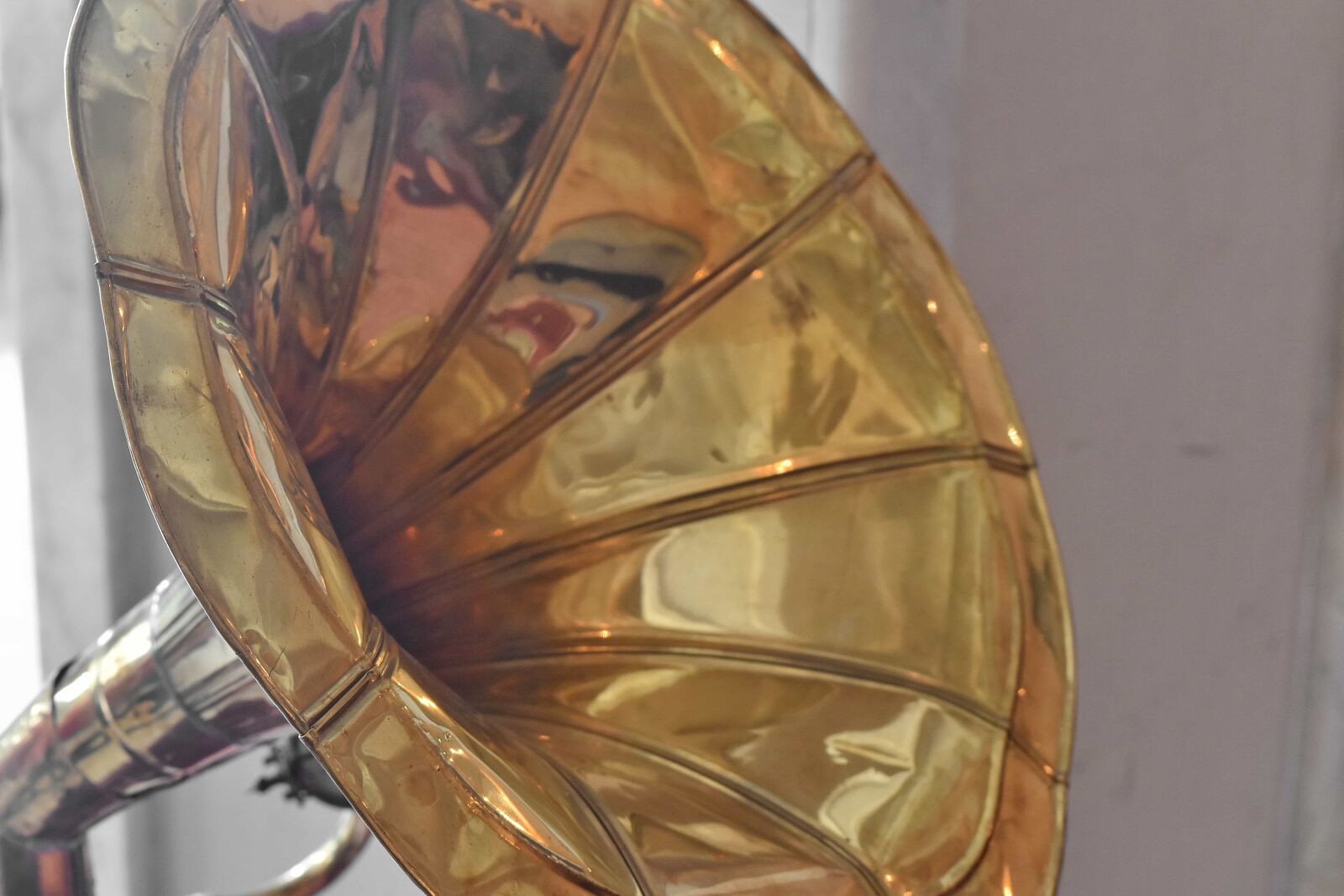 Nikon D5500 sample photo. Brass, instrument, music, nostalgia photography