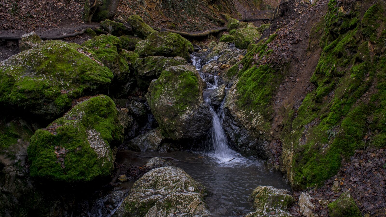 Nikon D3100 sample photo. Gorge, moss, nature photography