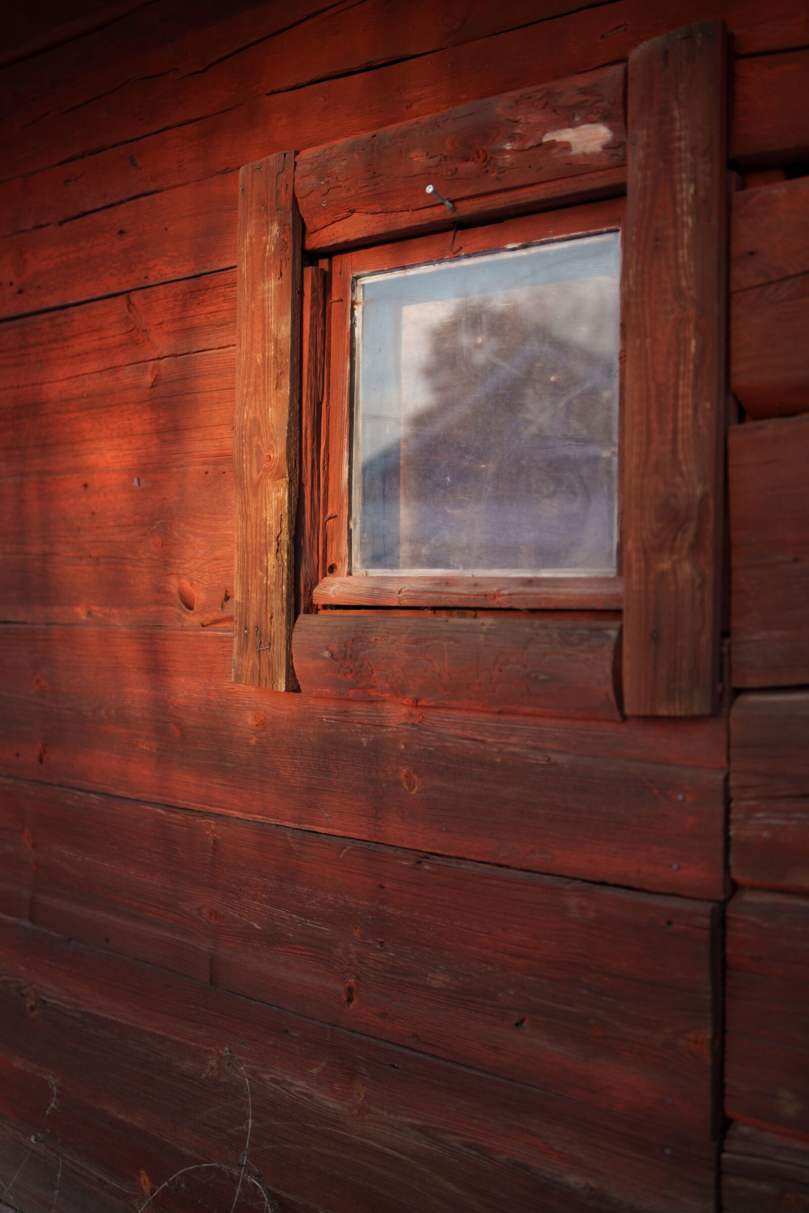 Samyang AF 35mm F1.4 P sample photo. Rare light photography