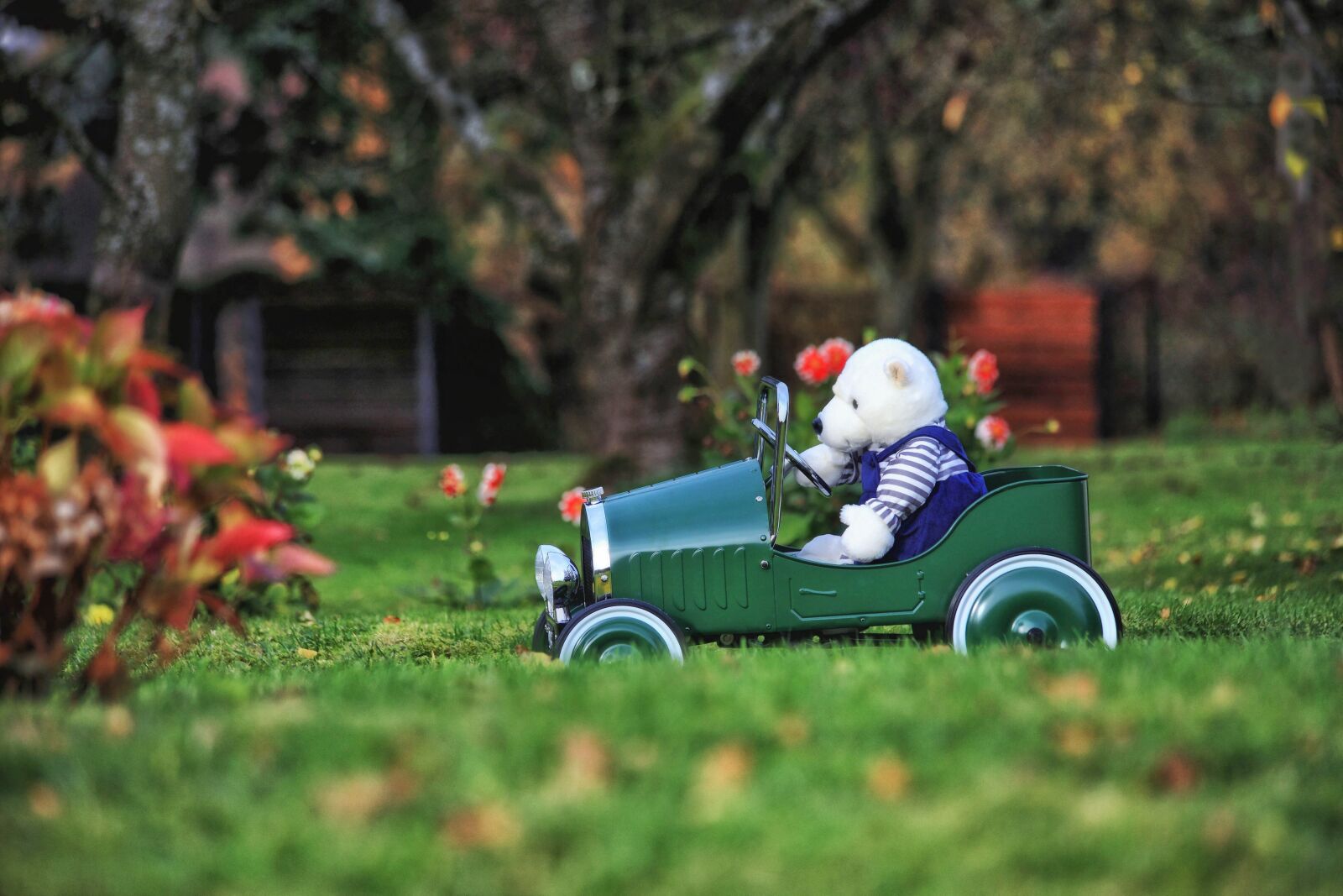 Canon EOS 5D Mark II sample photo. Teddy bear, auto, toys photography
