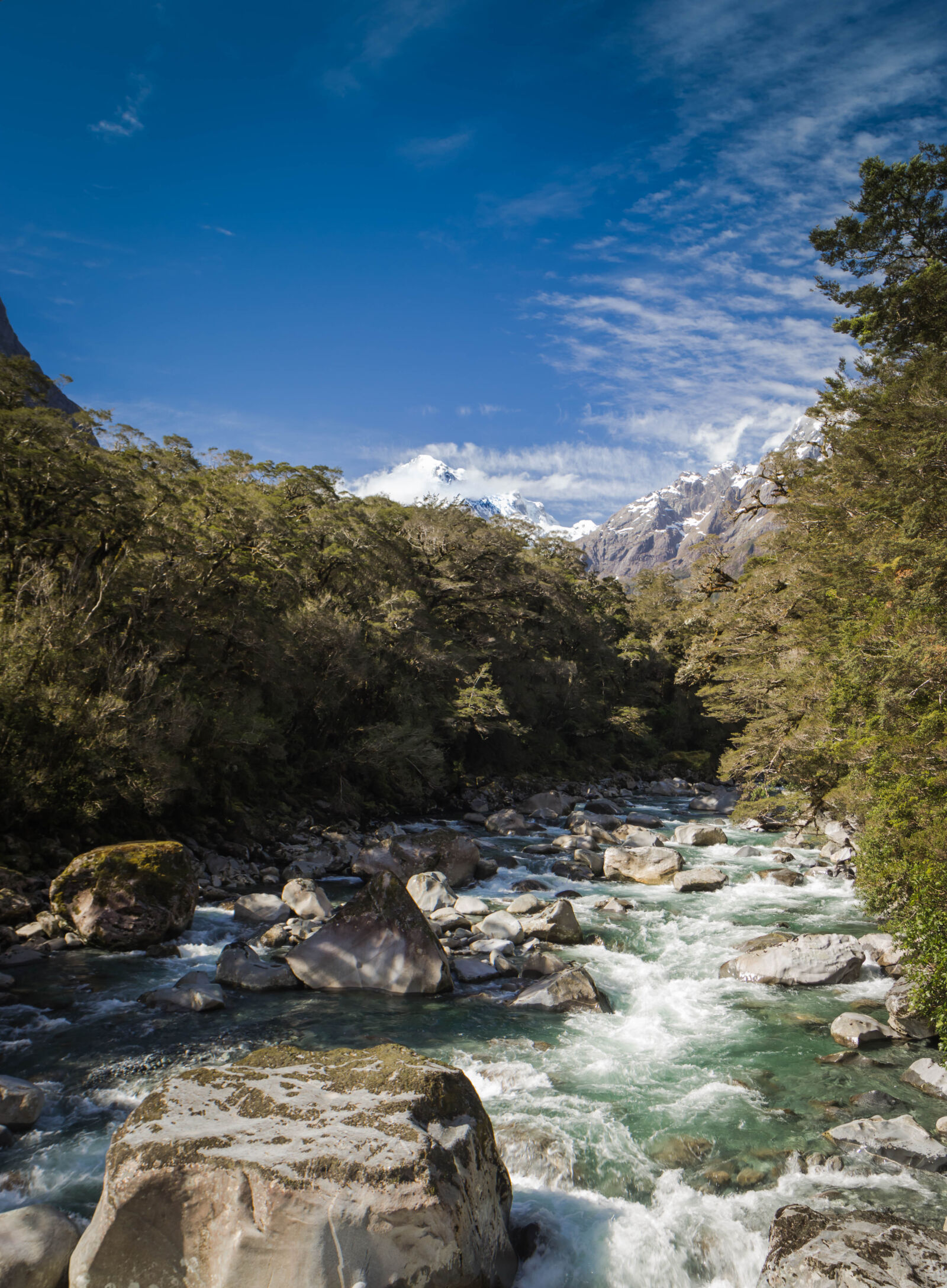 Canon EOS 60D + Canon EF-S 17-55mm F2.8 IS USM sample photo. New, zealand, river, snowy photography
