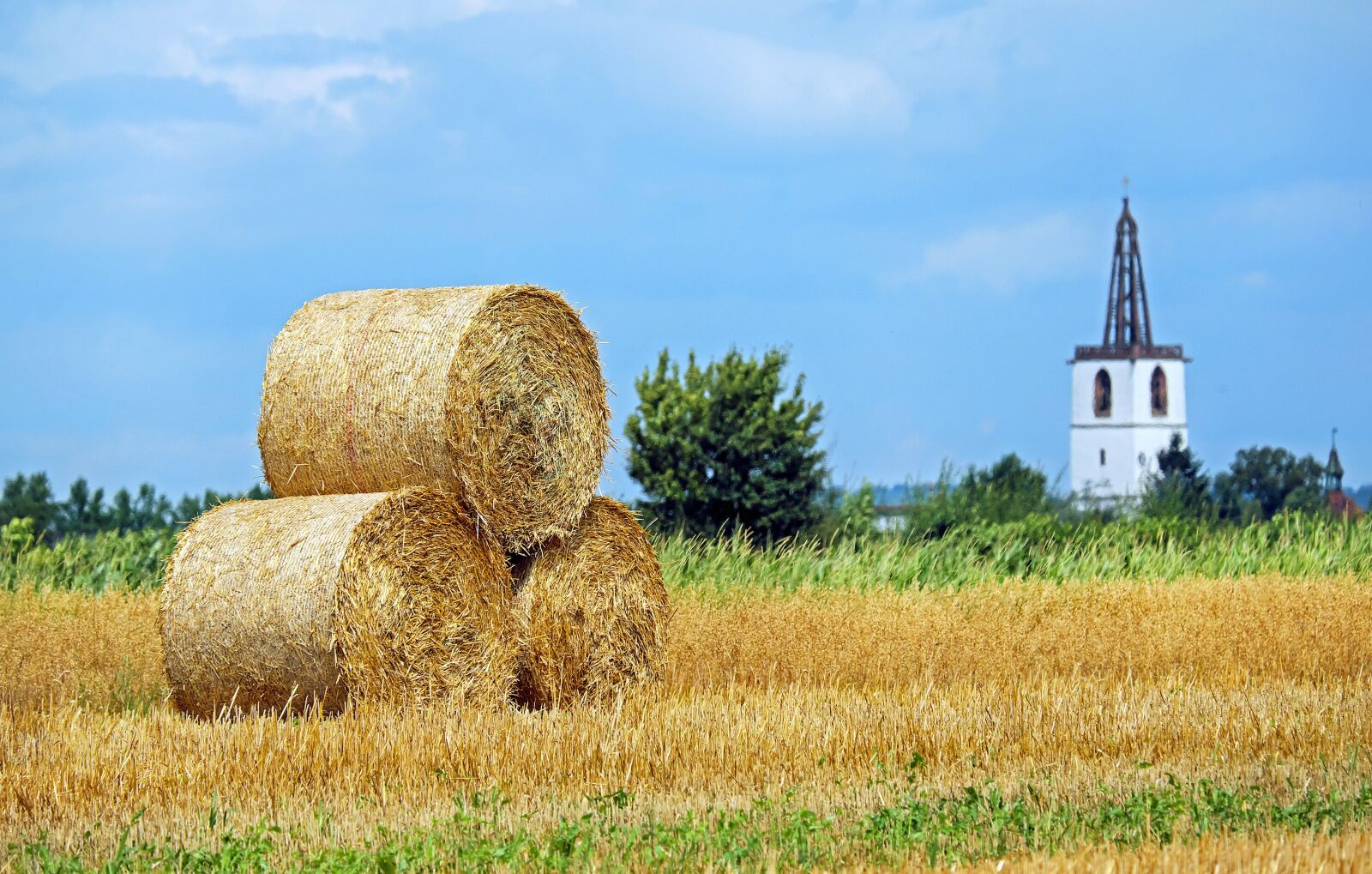 Fujifilm X-T10 + Fujifilm XC 50-230mm F4.5-6.7 OIS sample photo. Straw bales, straw, round photography