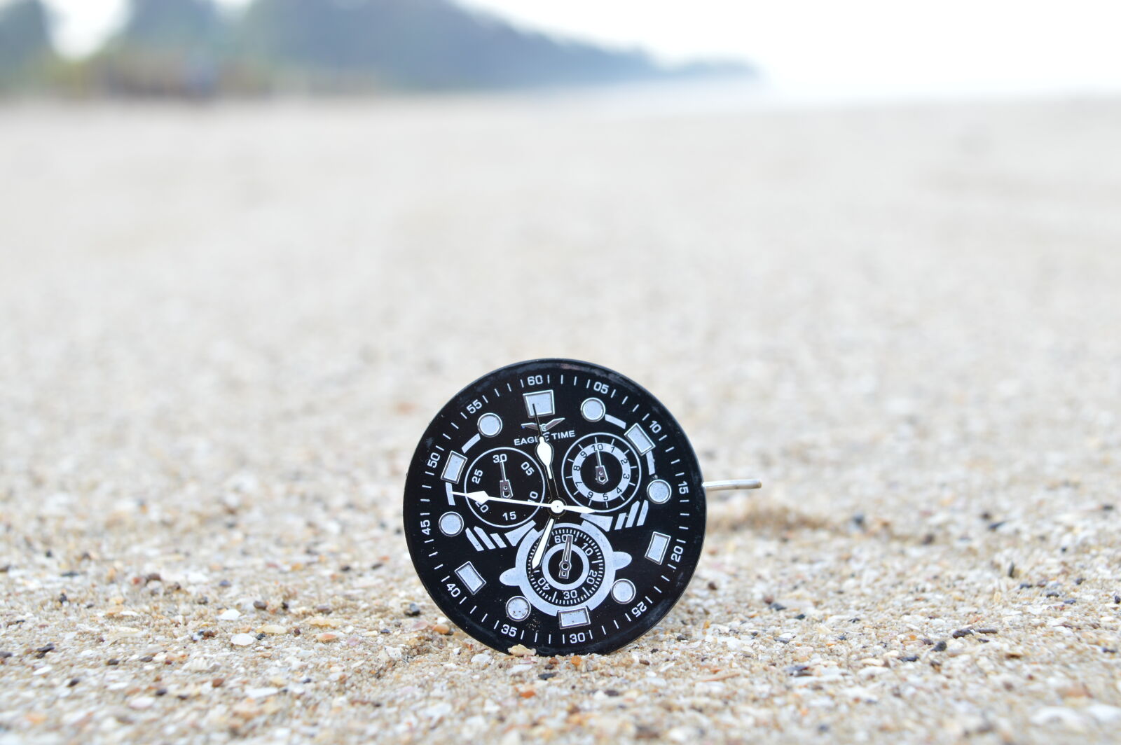 Nikon D3200 sample photo