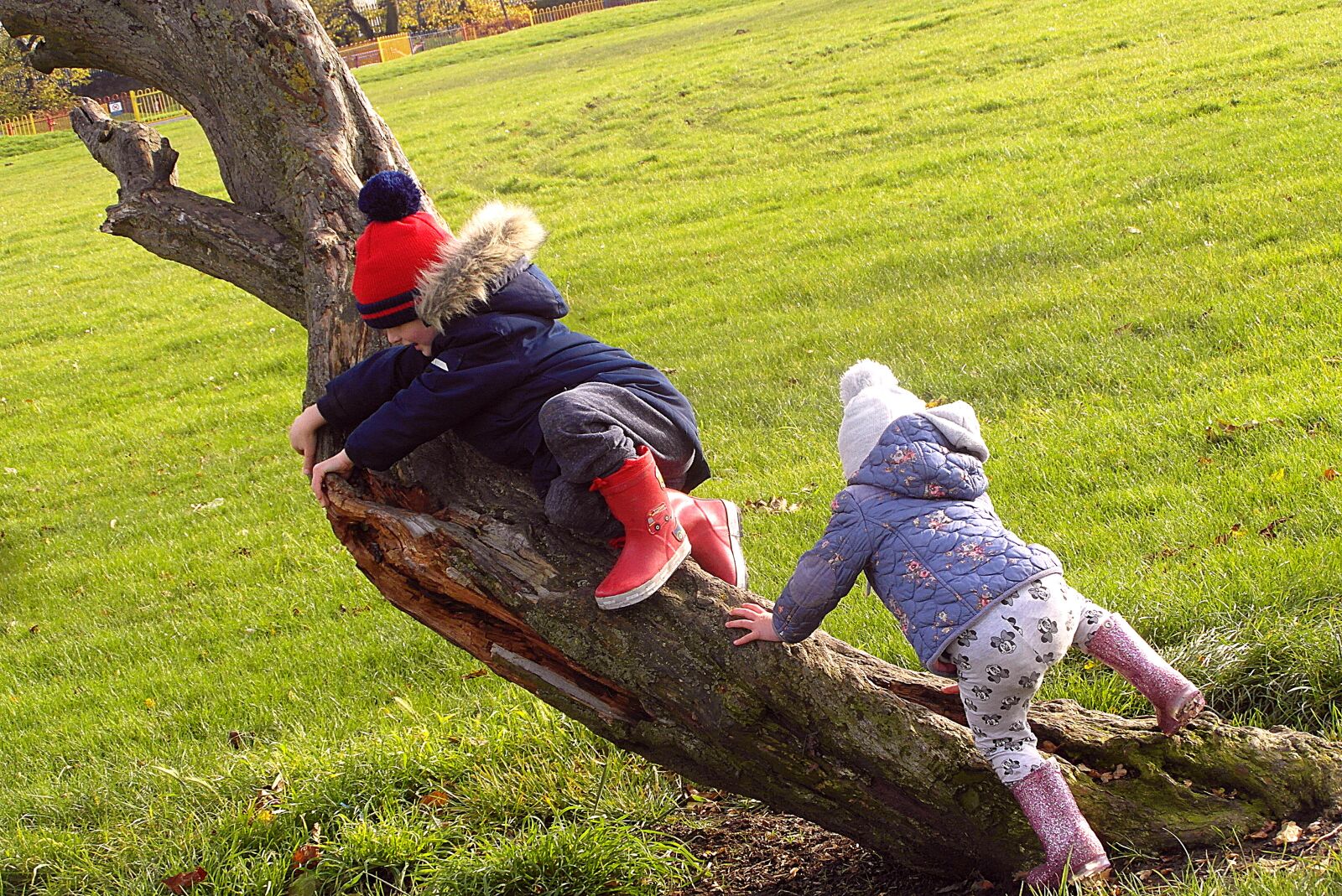 Samsung WB750 sample photo. Children, para, on the photography