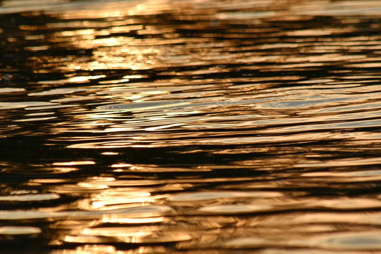 Nikon D5500 sample photo. Calm, landscape, orange yellow photography