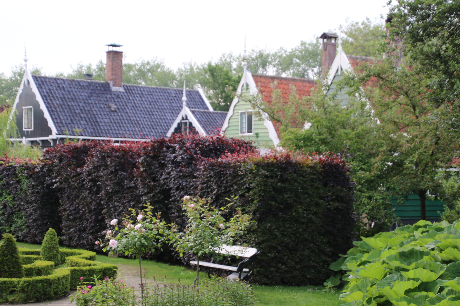 Canon EOS 7D Mark II sample photo. Garden, holland, houses, relax photography